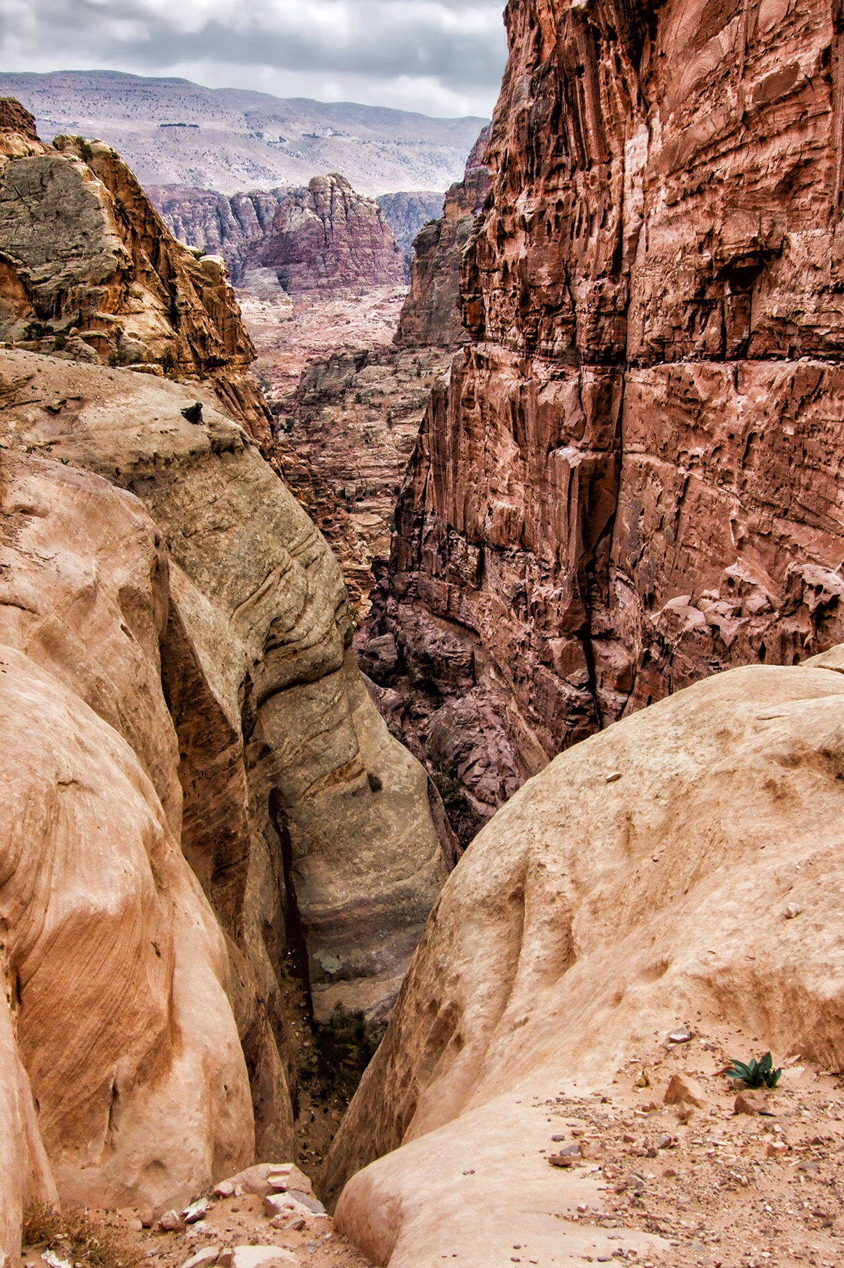 The canyons of Petra