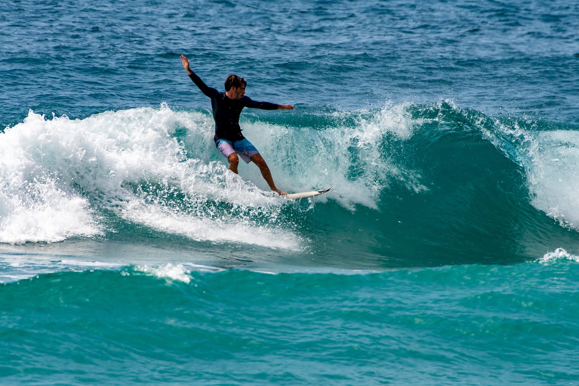 lulle wings of the waves