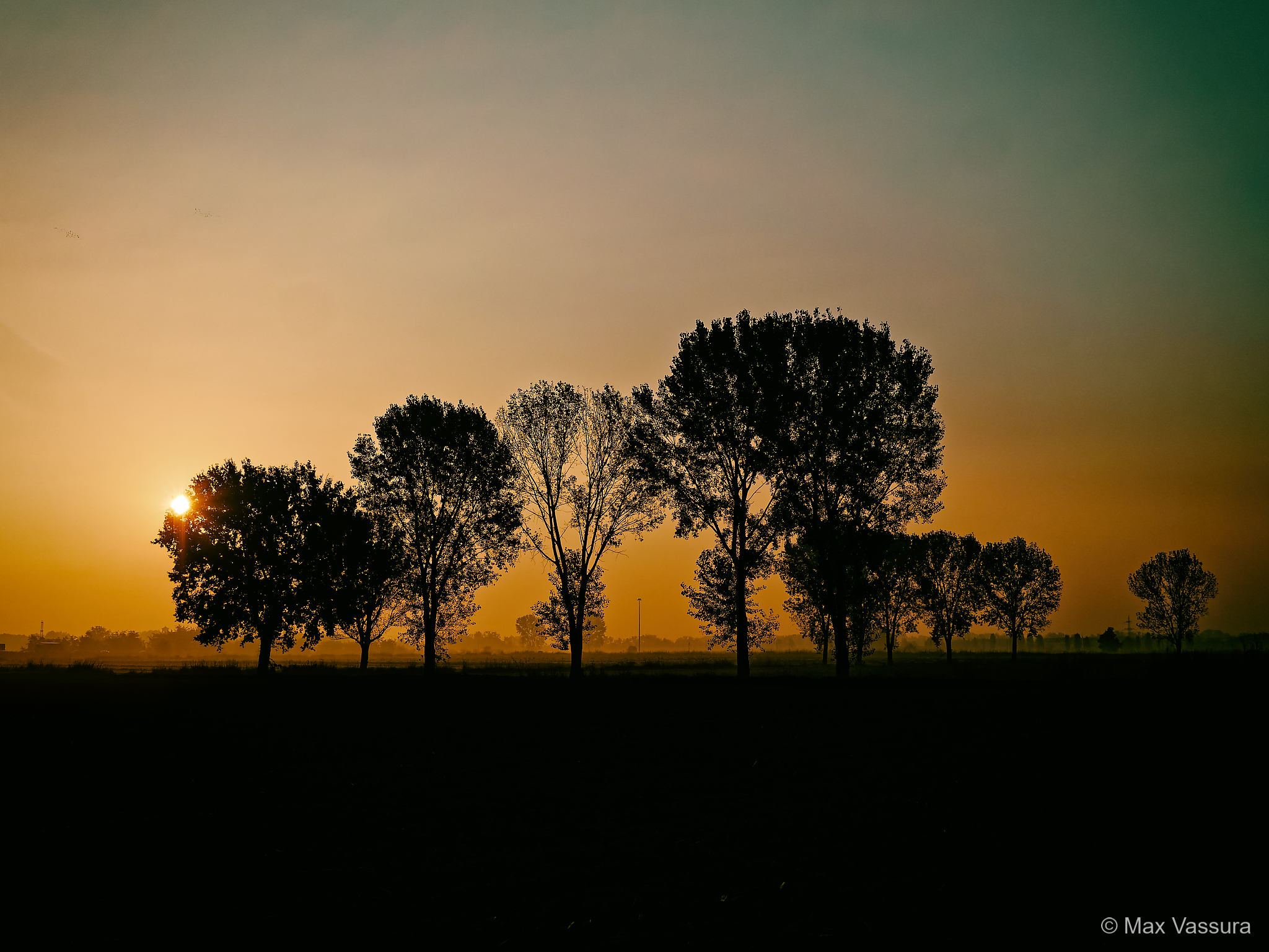 Untitled Photo