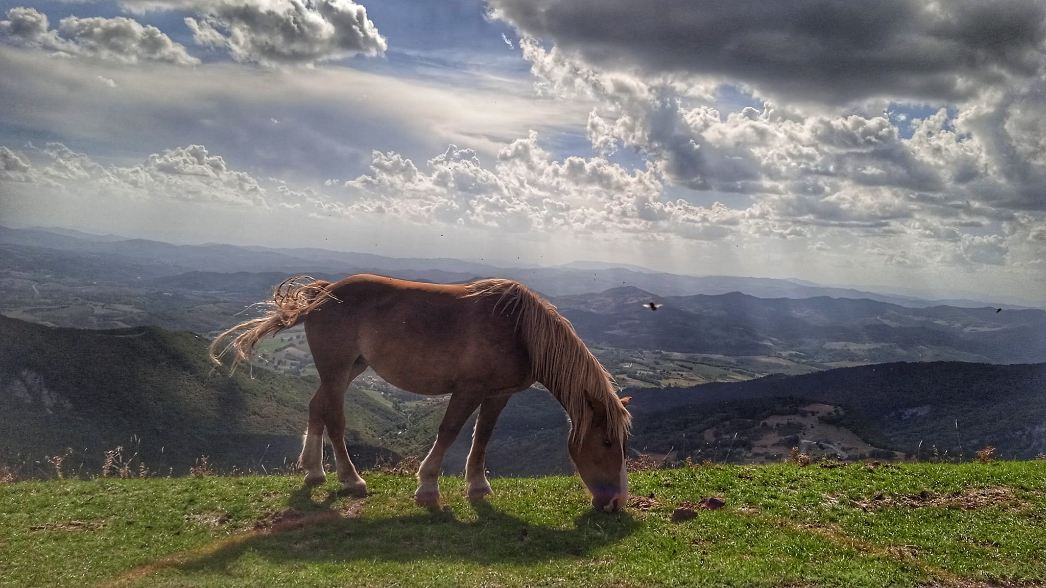 monte cucco