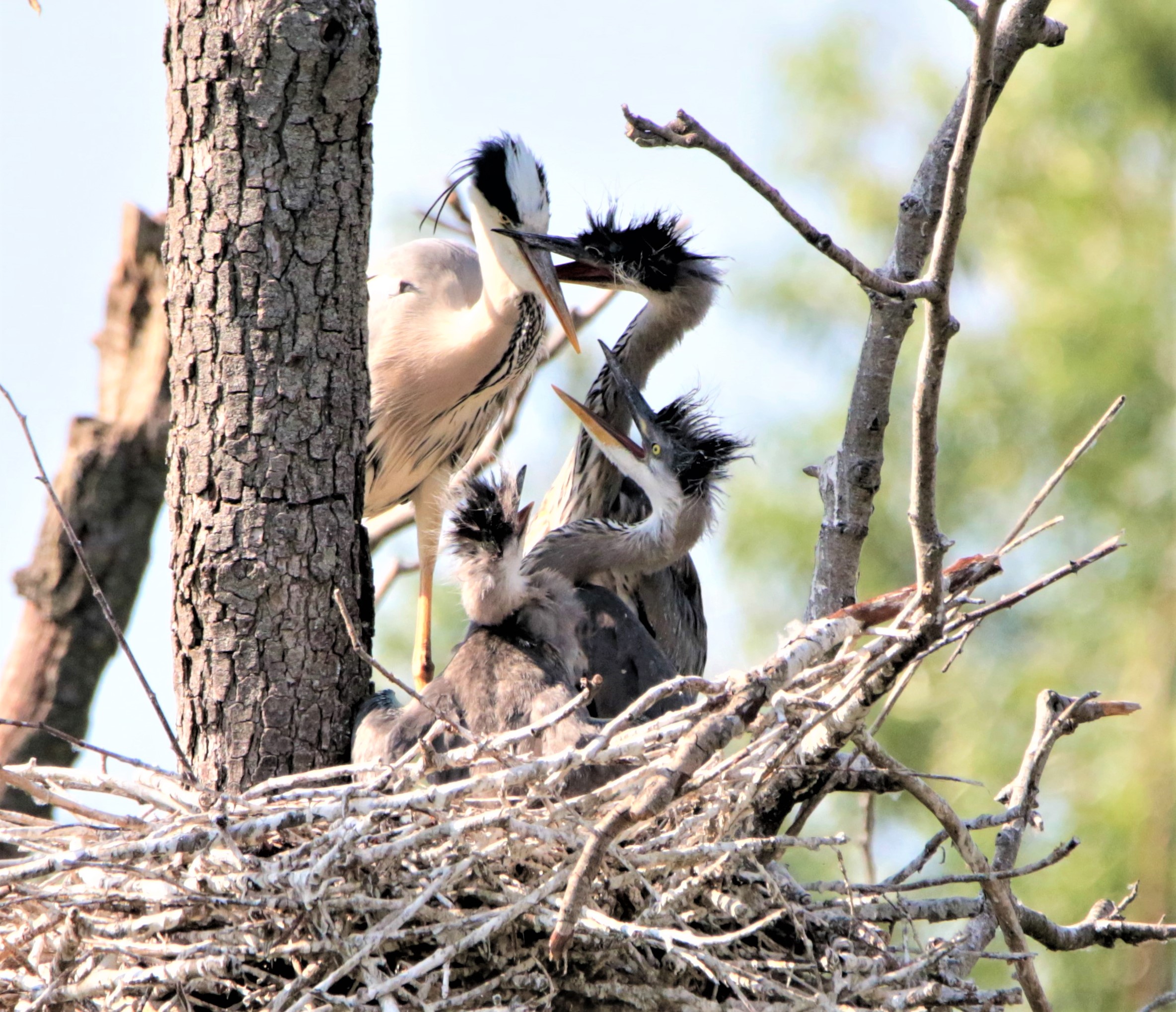 give me what is mine!!