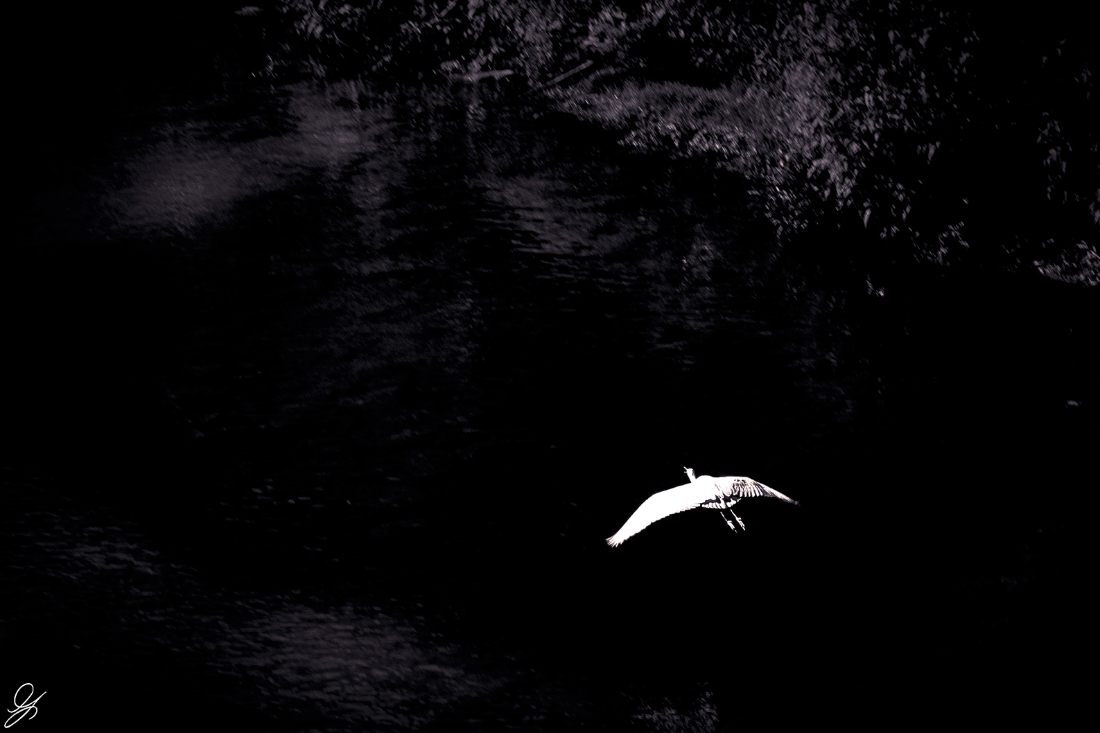 Quando stiamo andando su questa tera...