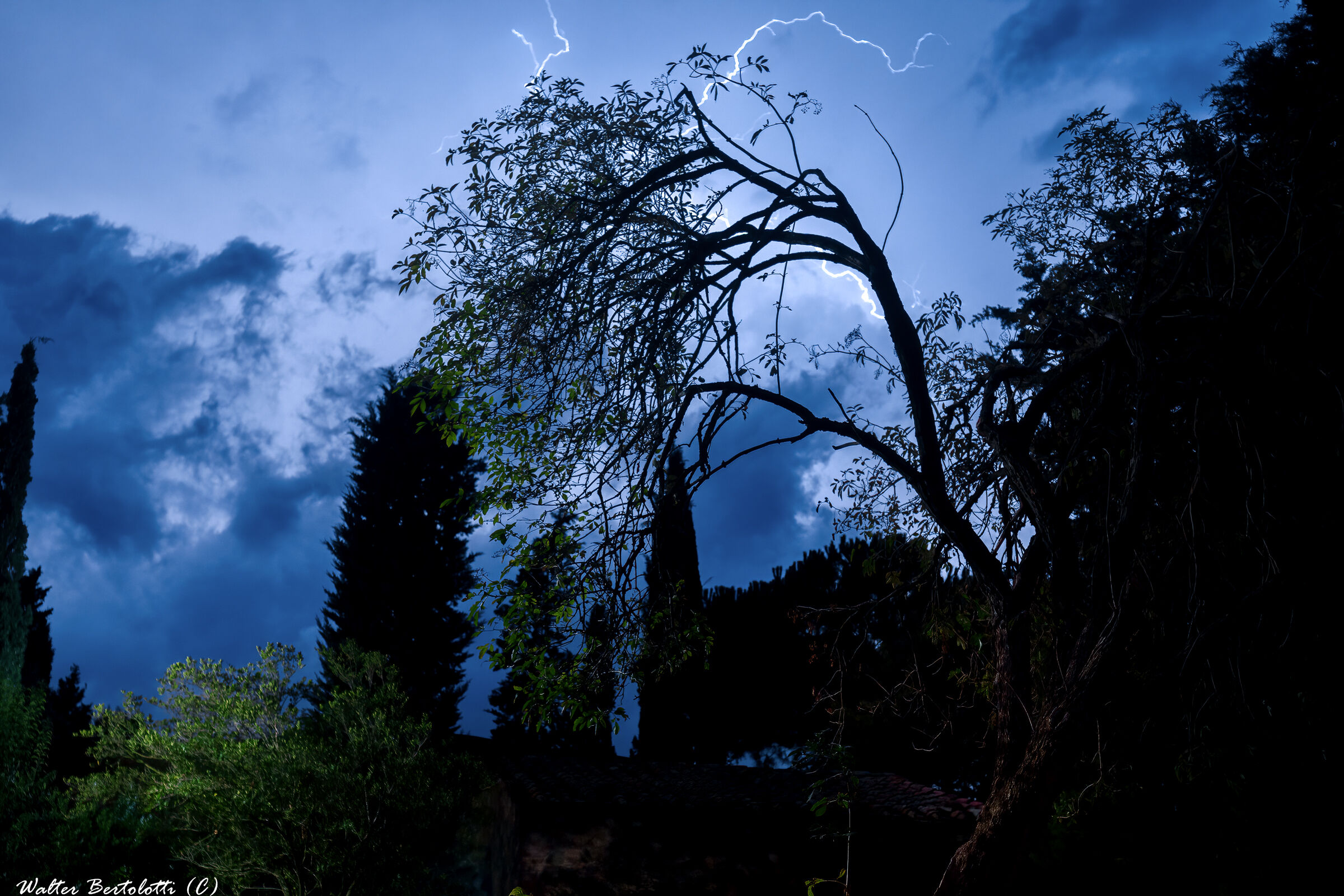 tuoni fulmini e saette