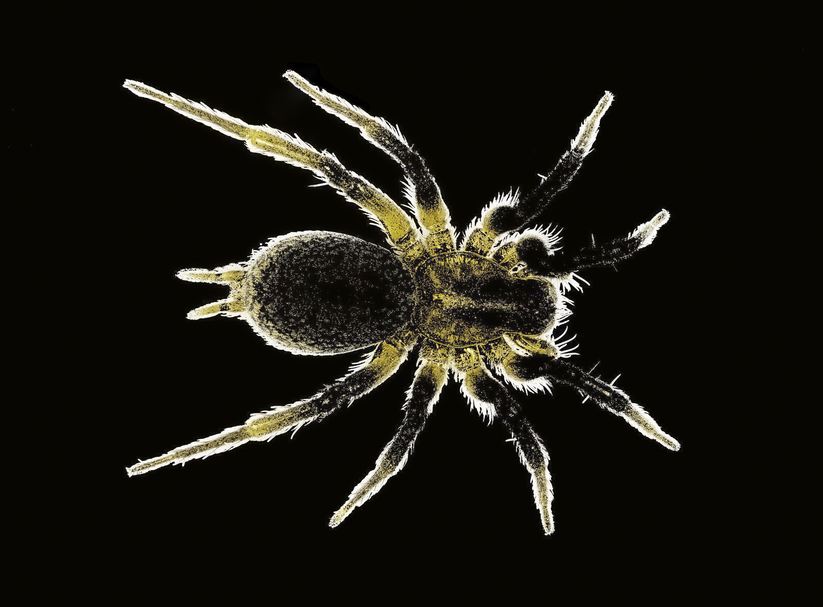 Involuntary "Negative"