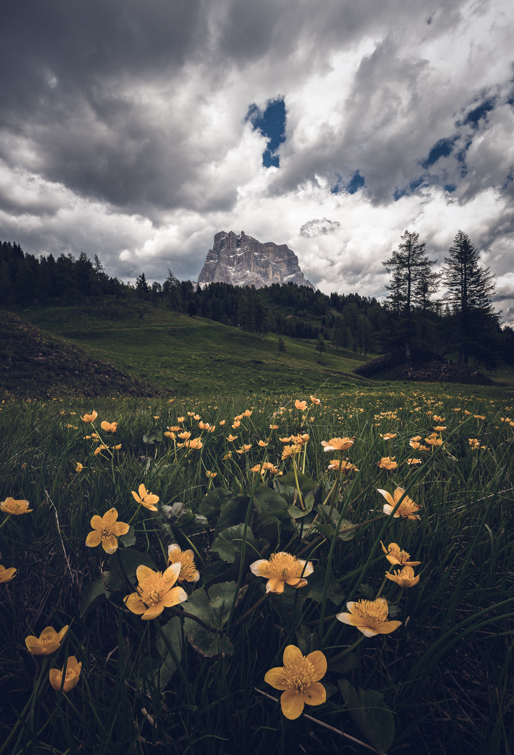 Flower power