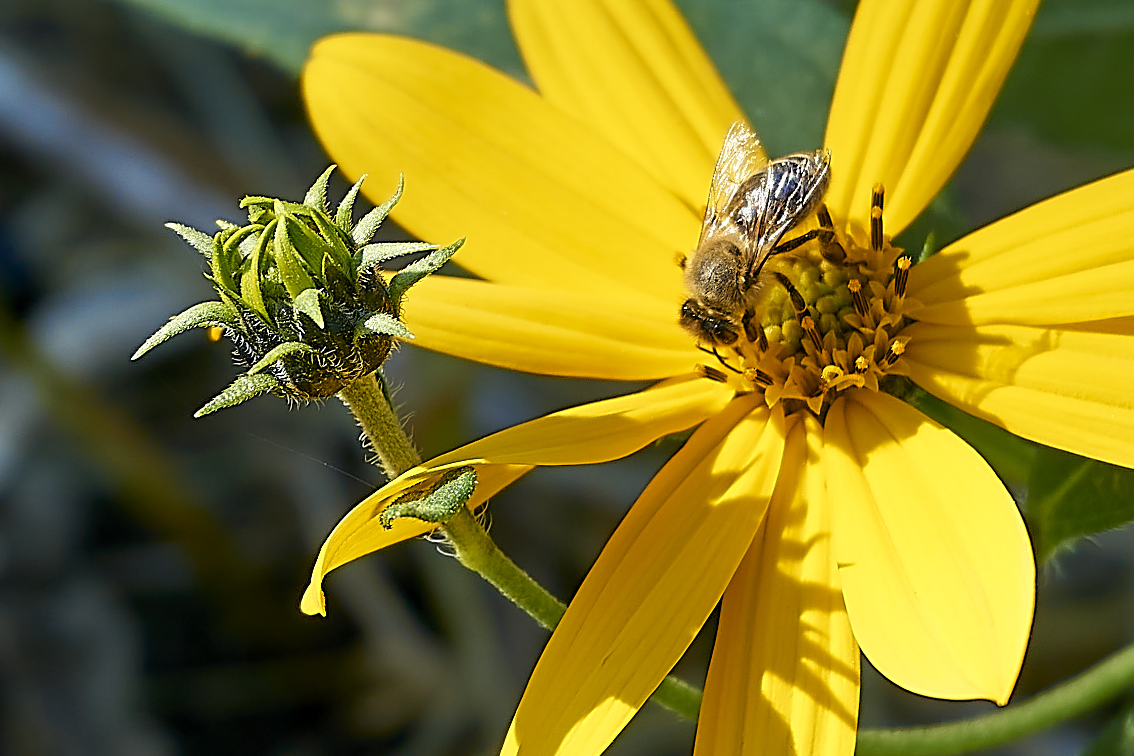 Sperimentazione macro
