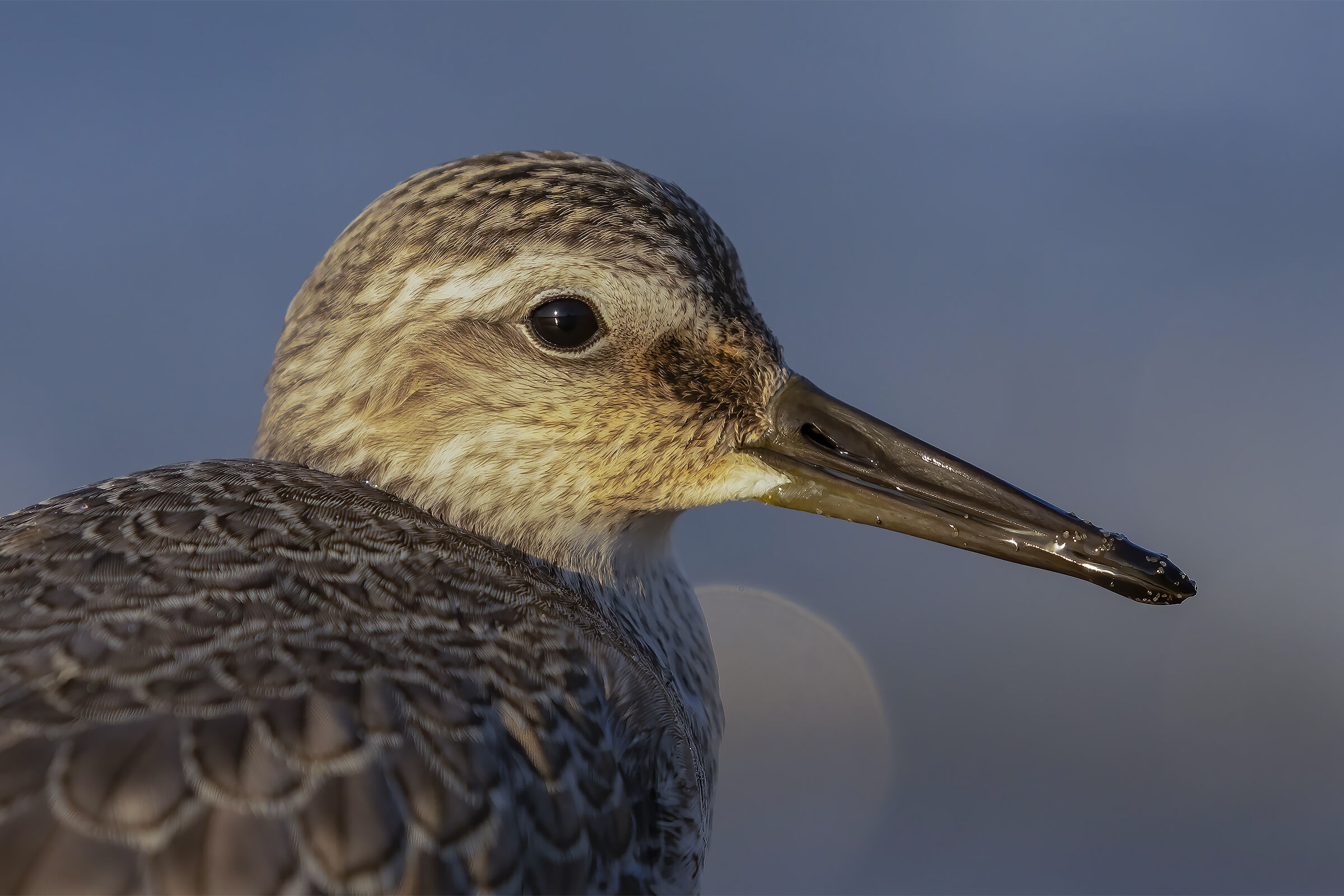 You are too close....