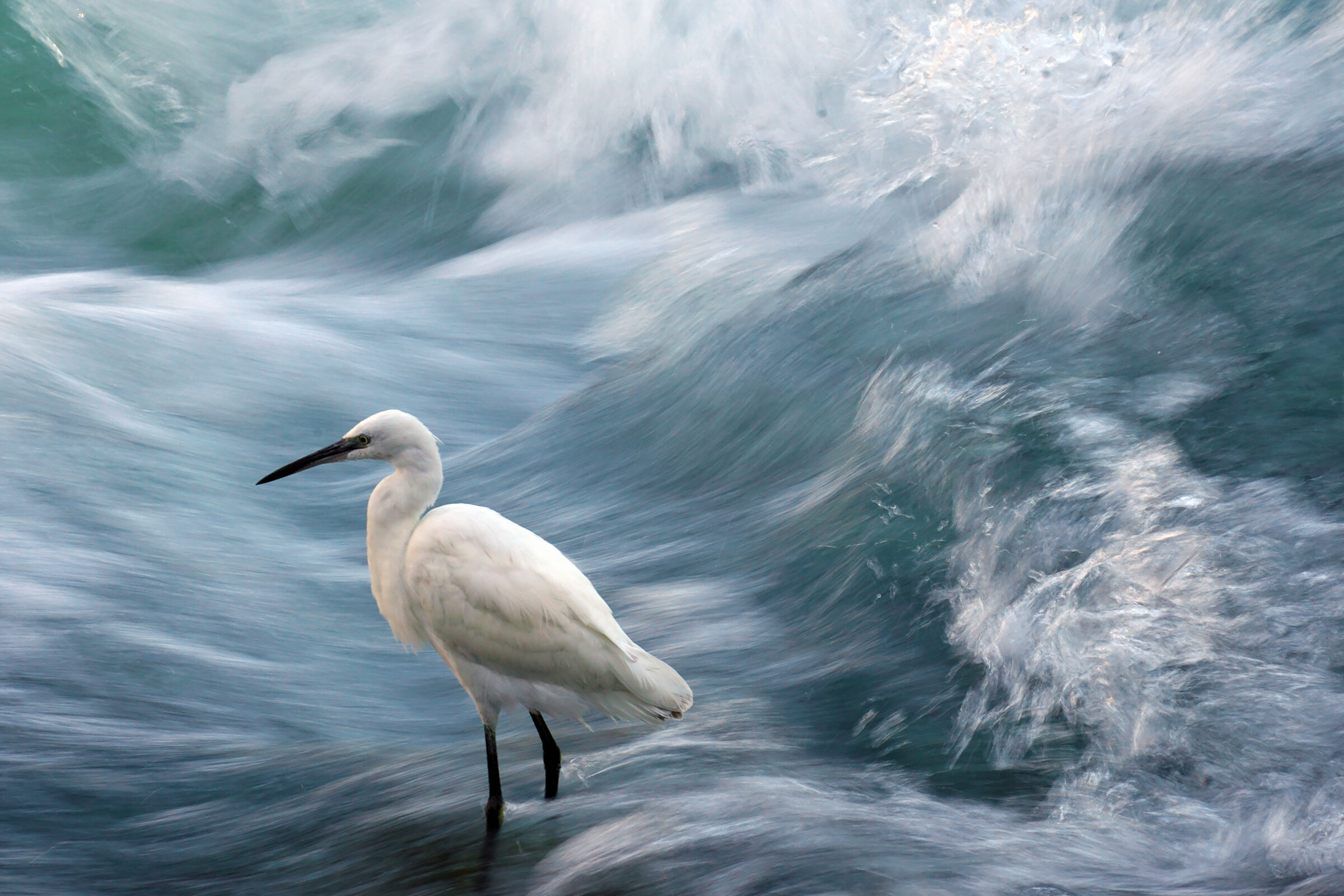tumultuous waters