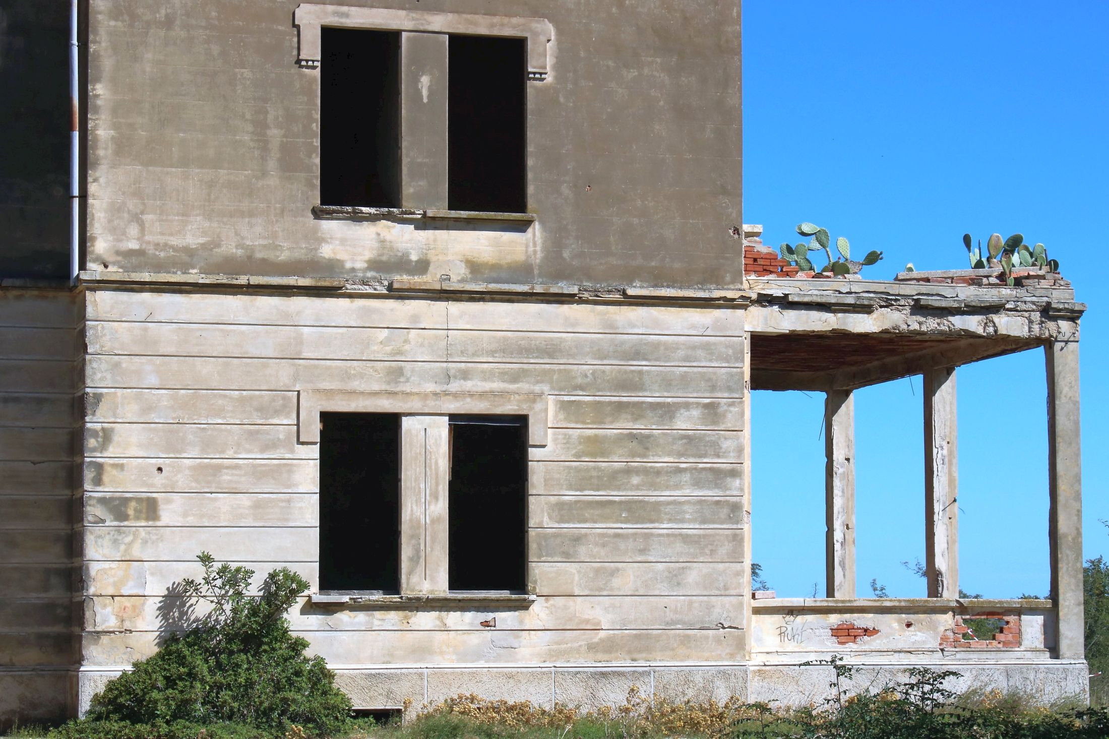 Fichi d'india sul tetto