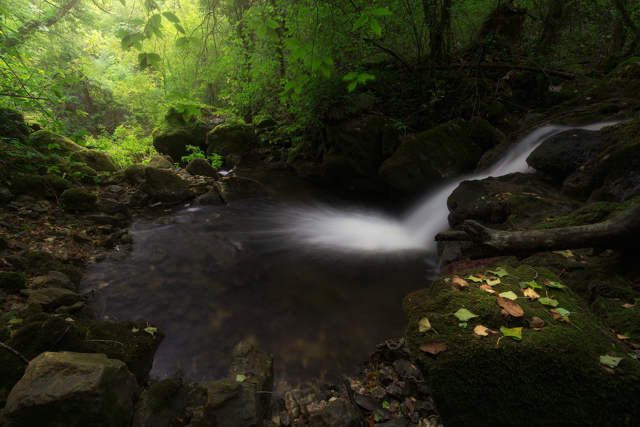 Small place big relaxing