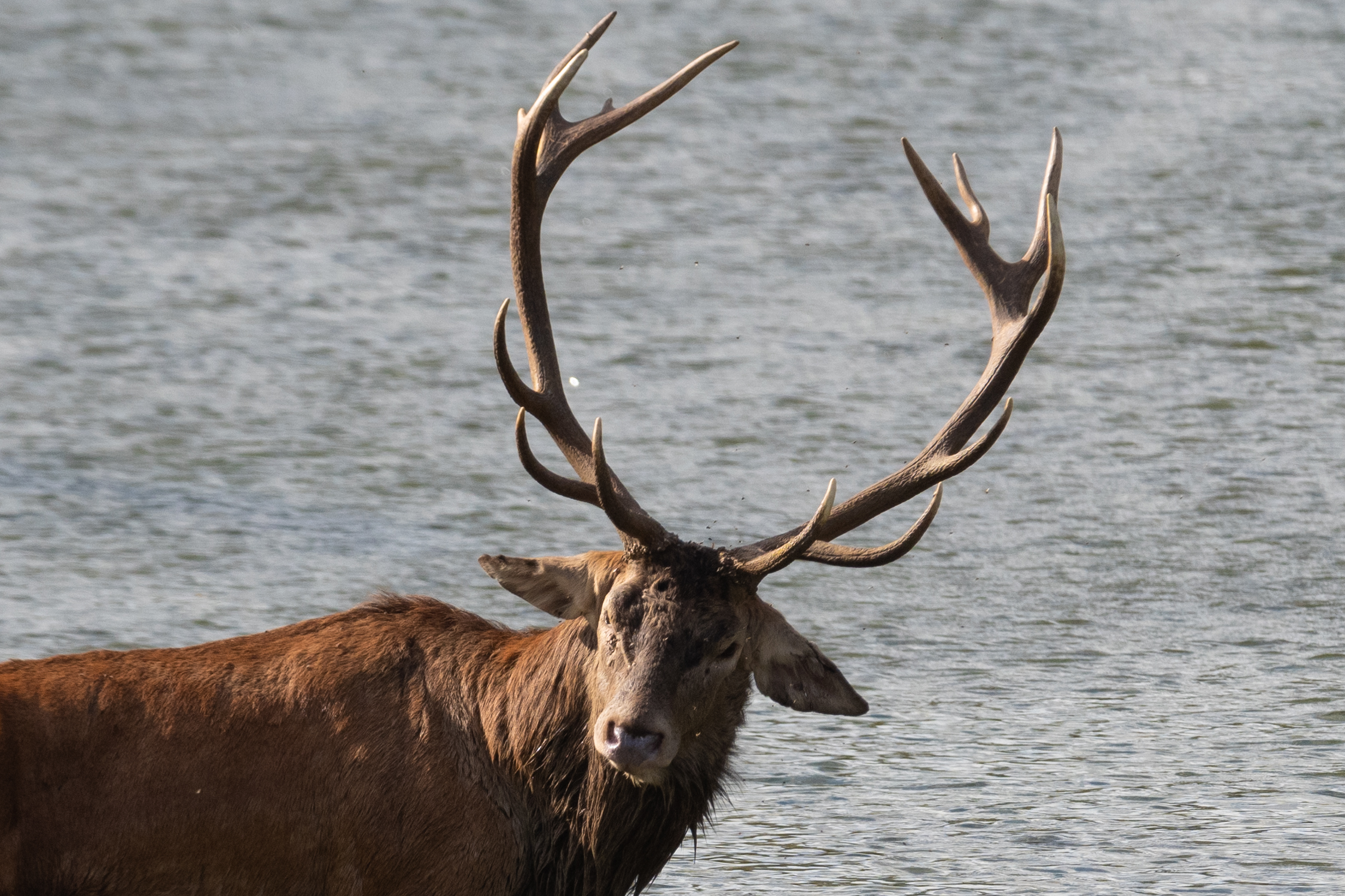 Cooling the boiling spirits in the river 2