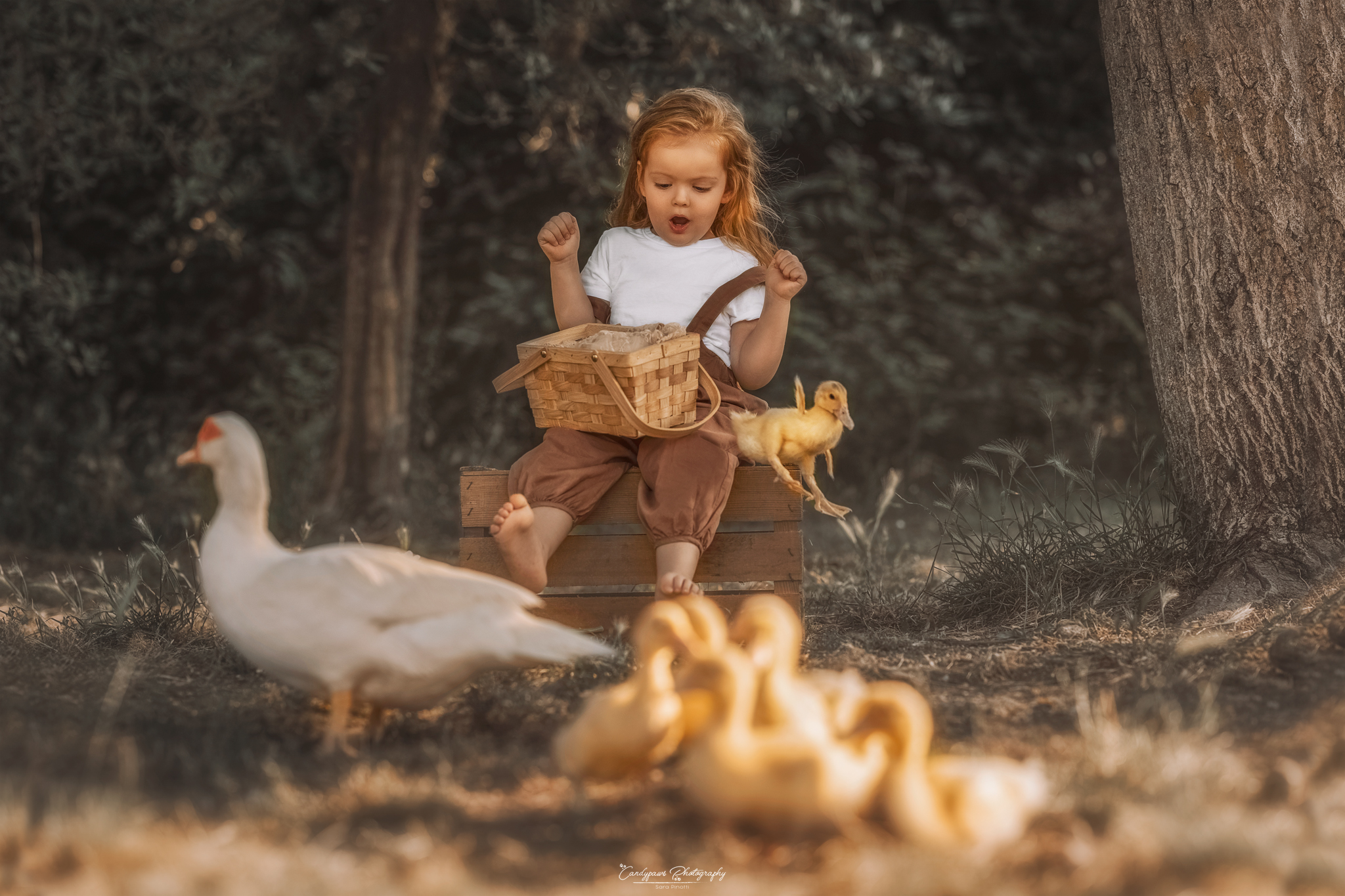 the beauty lies in the spontaneity of the moment