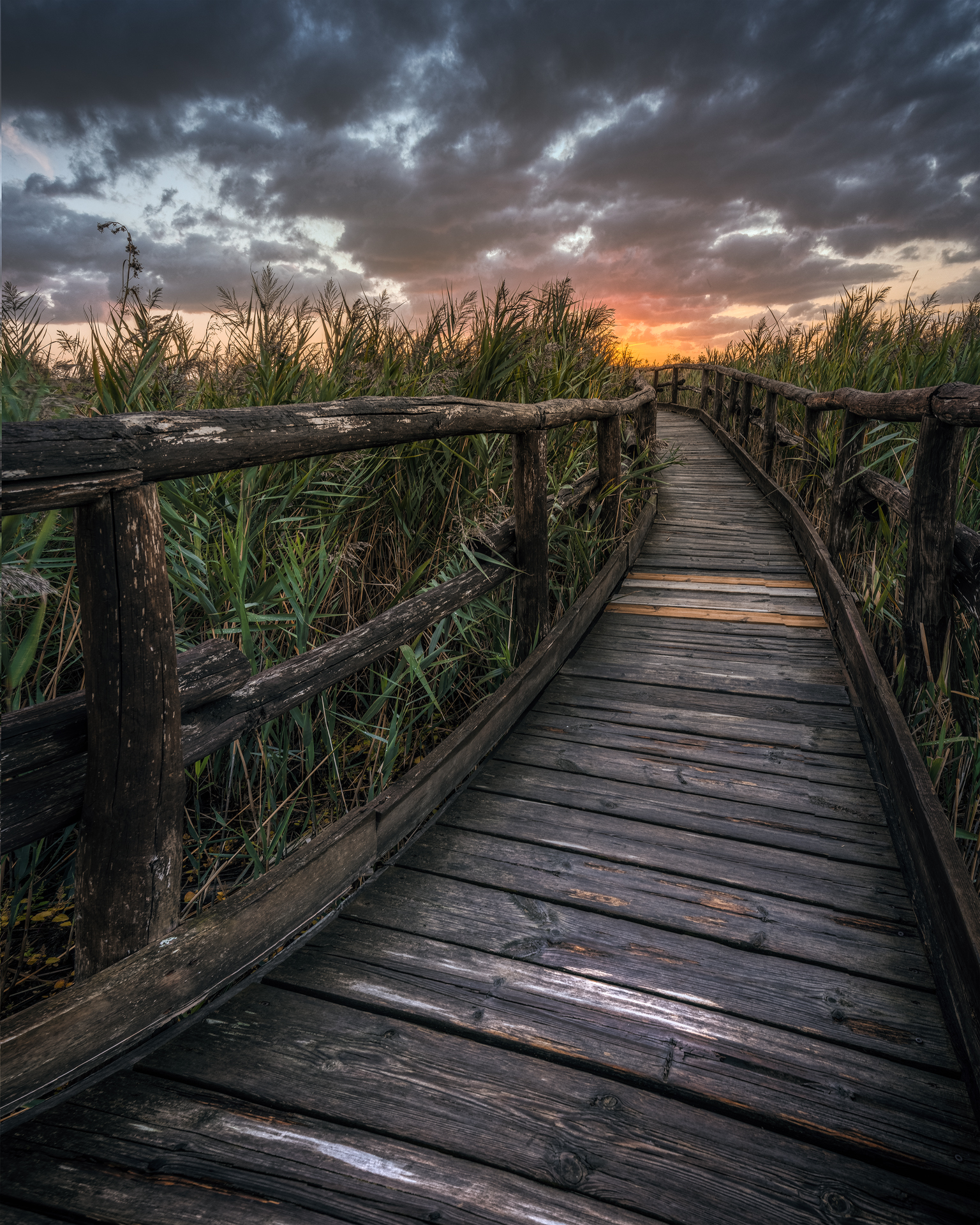 Walk of life