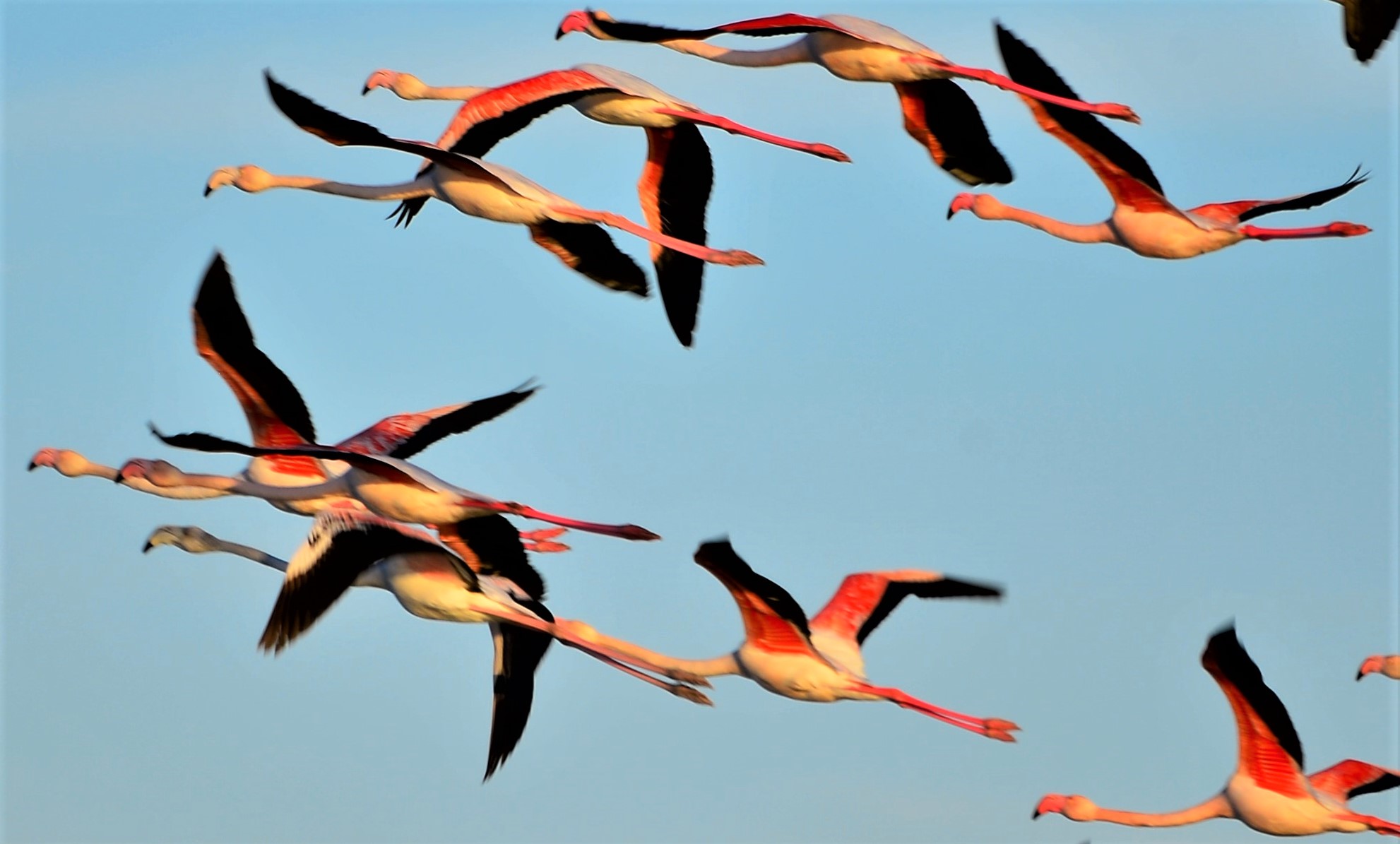 Olbia - Stagno di Porto Taverna