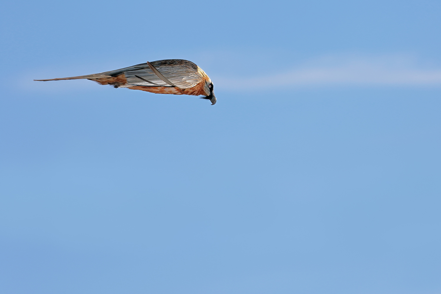 Aerial reconnaissance...