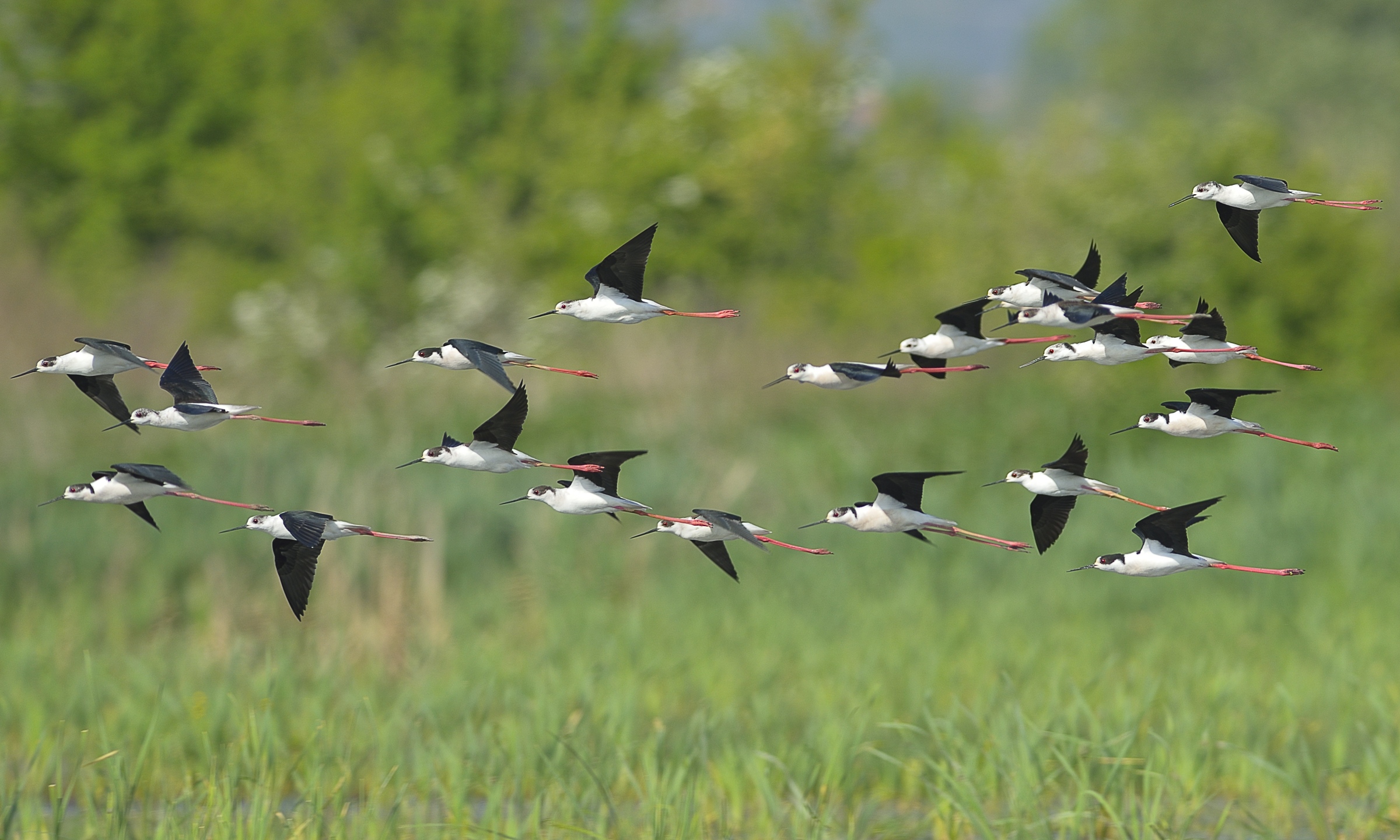 Passaggio radente in formazione