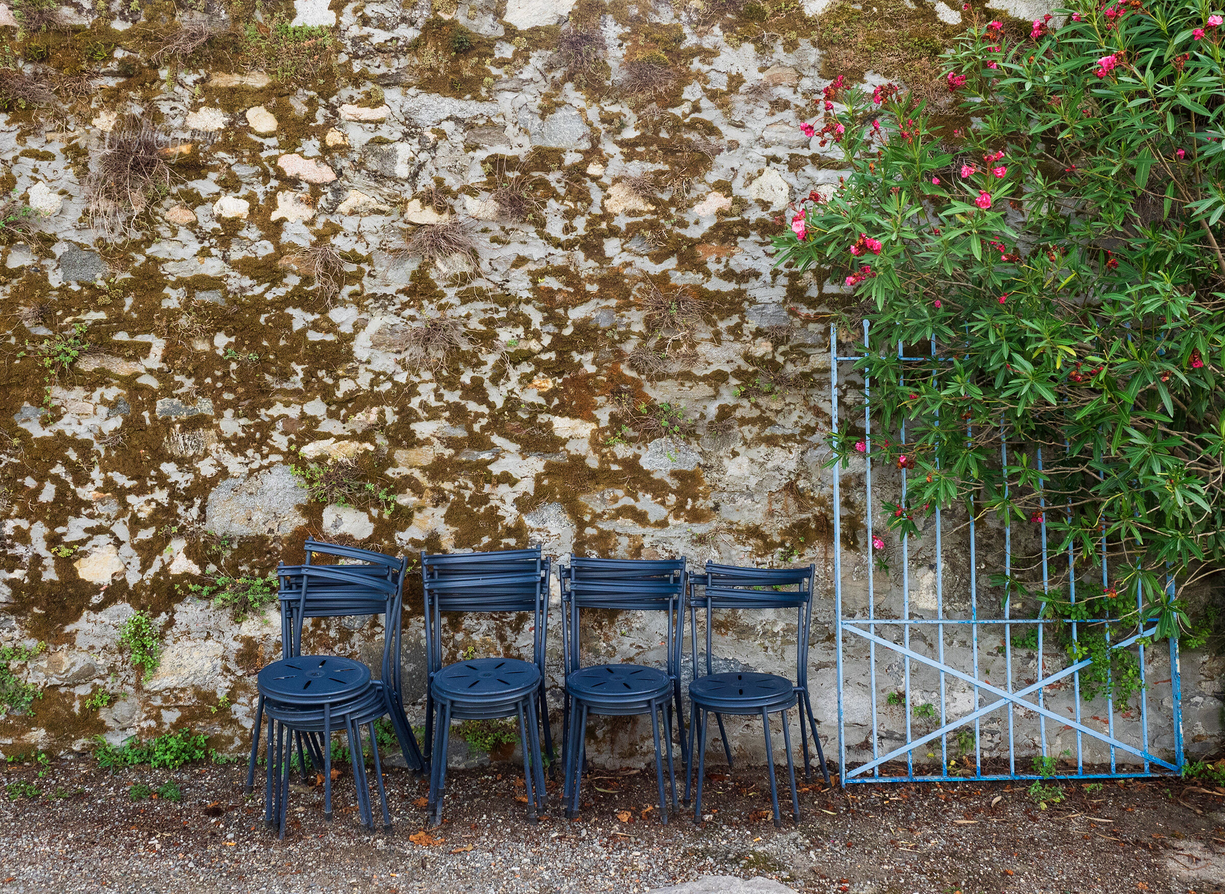 in search of a master