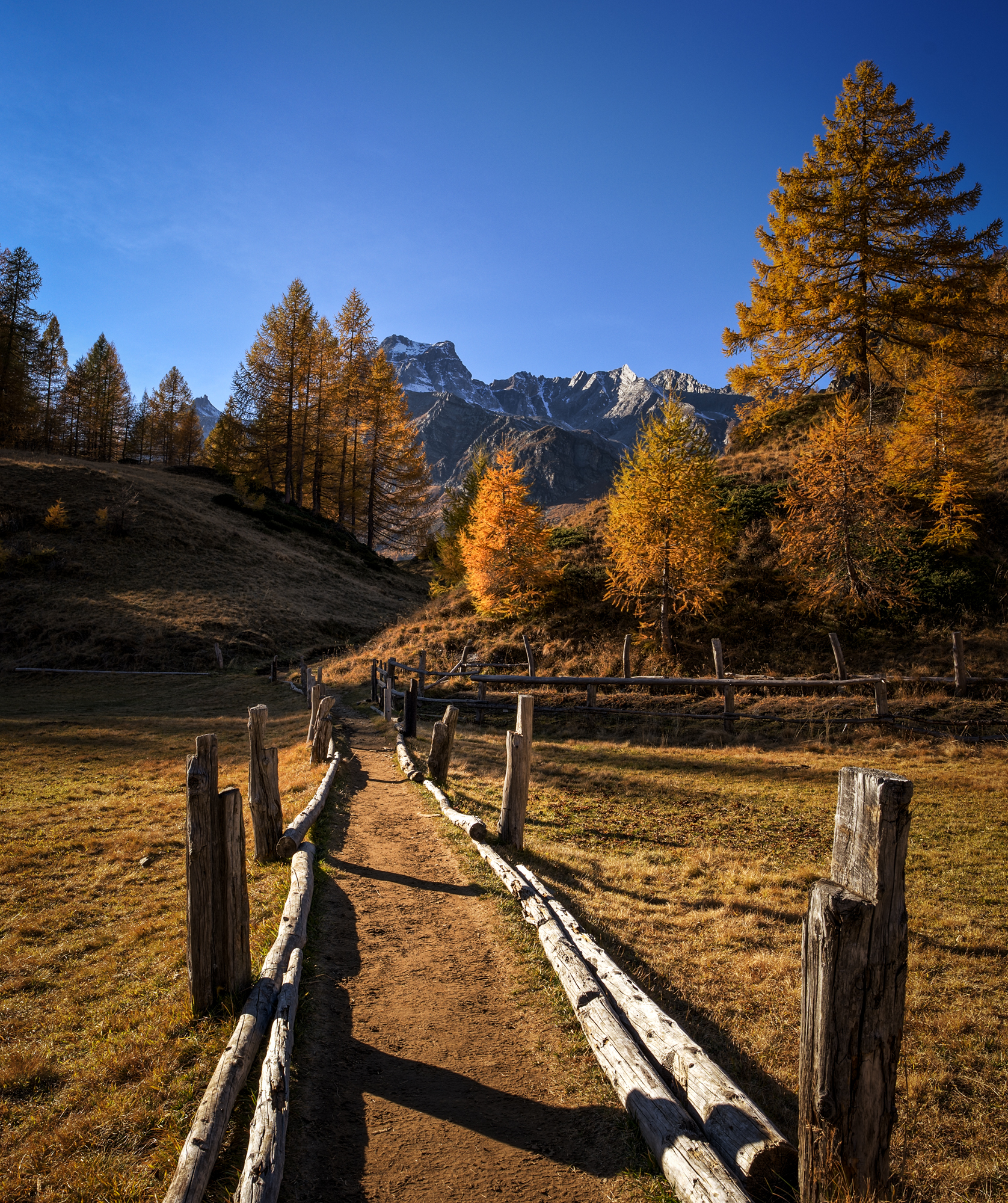 The path
