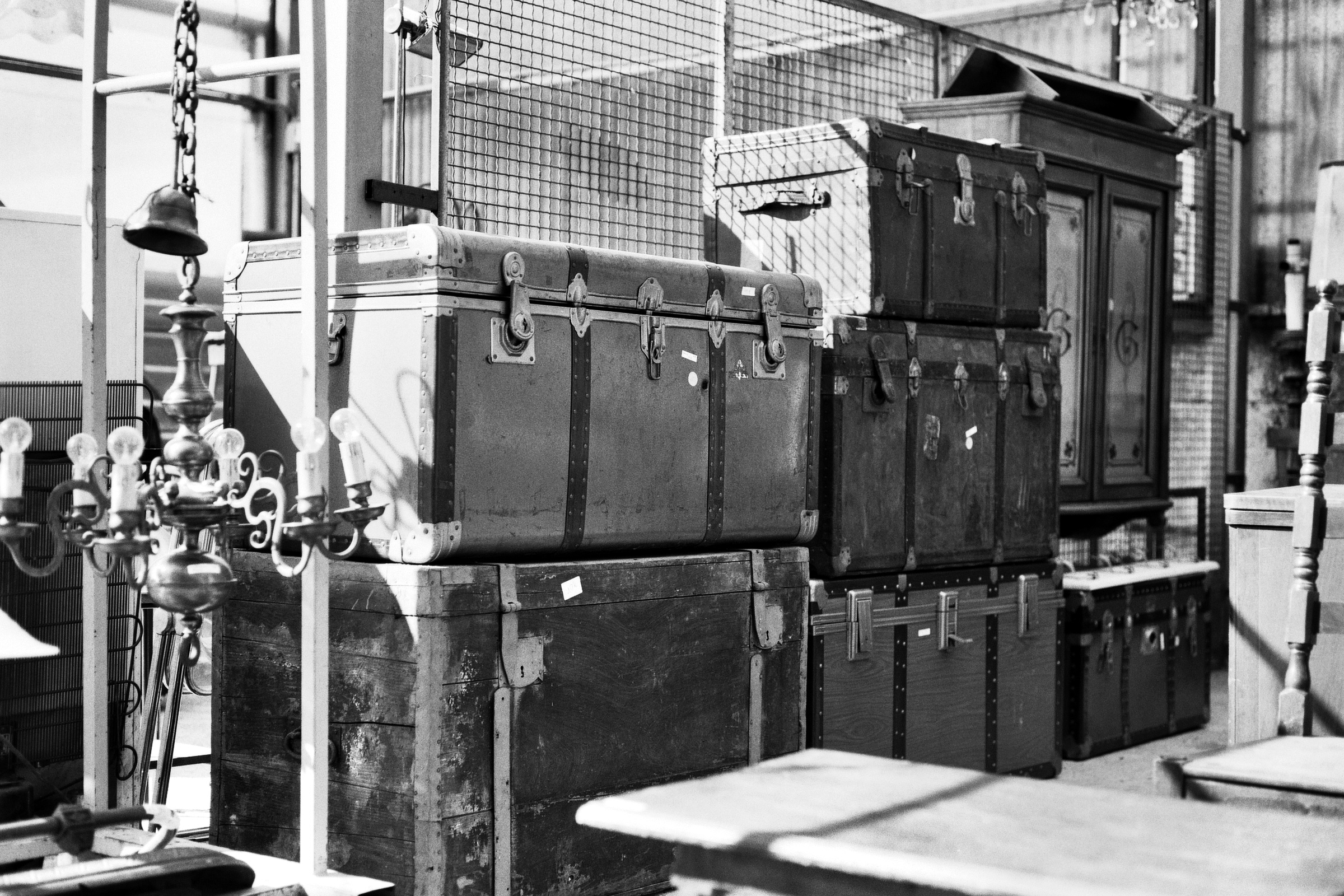 Quante storie potrebbero raccontare...