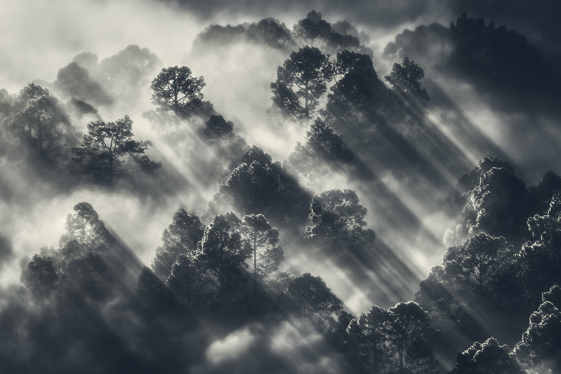 La luce in mezzo alla tempesta