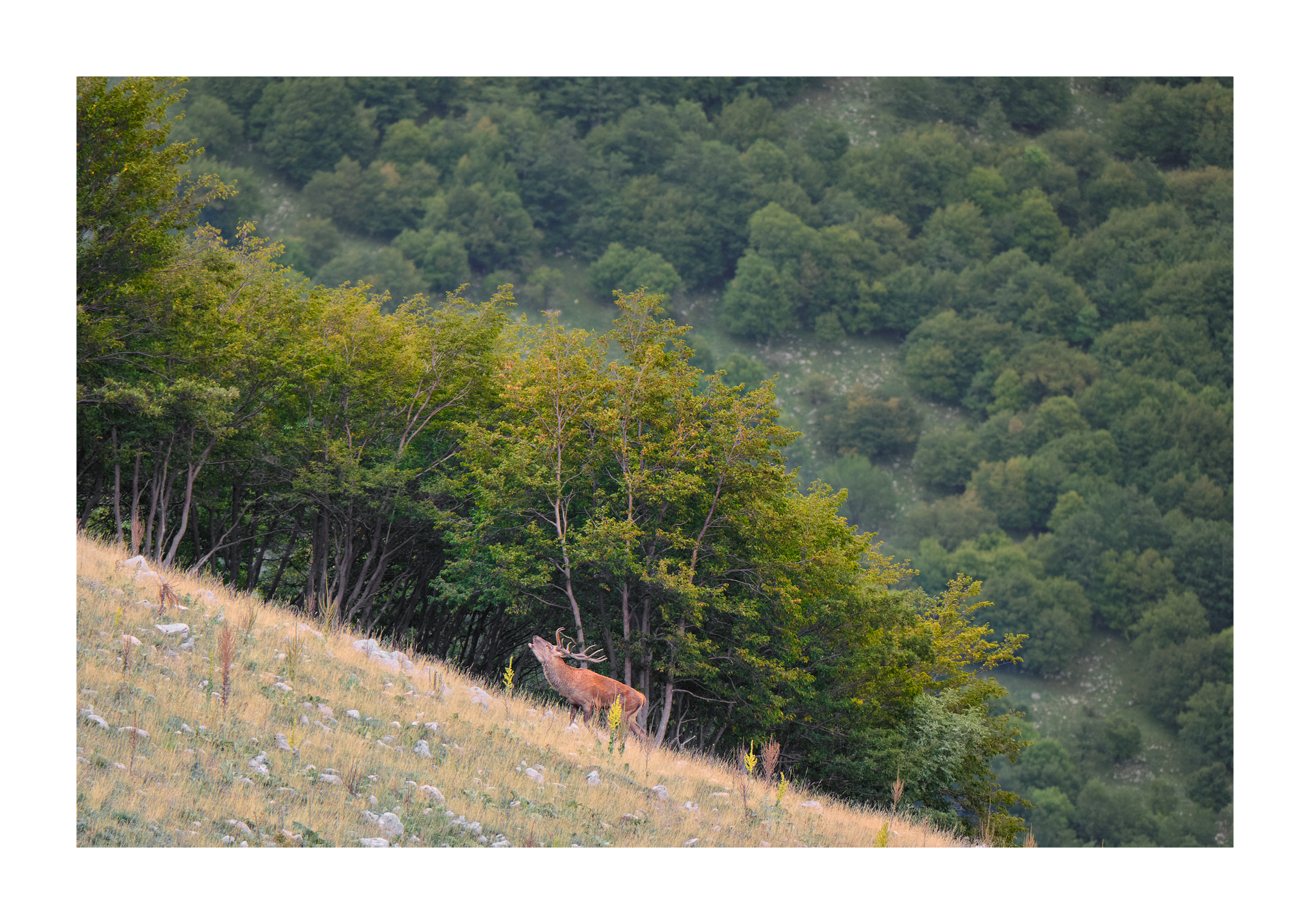 Untitled Photo