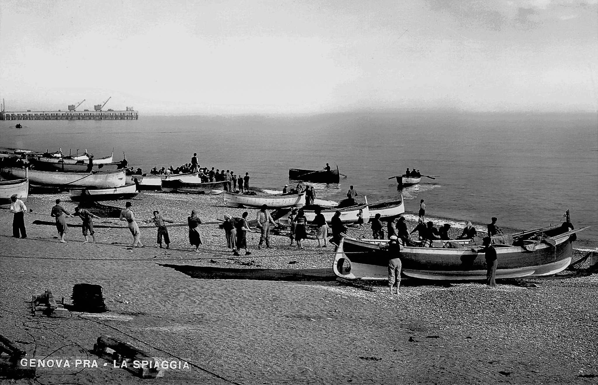 Black and white 1953