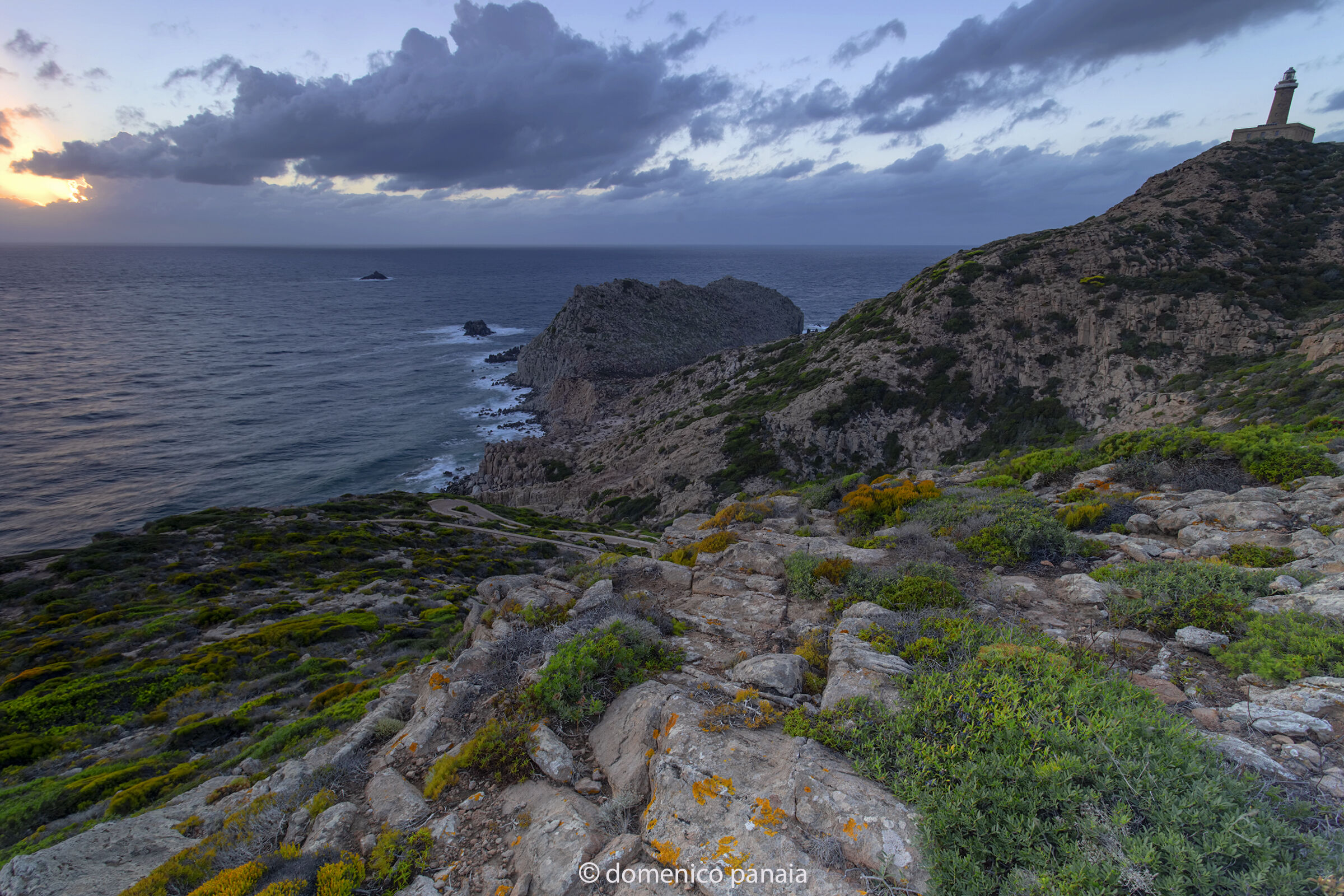 island of San Pietro