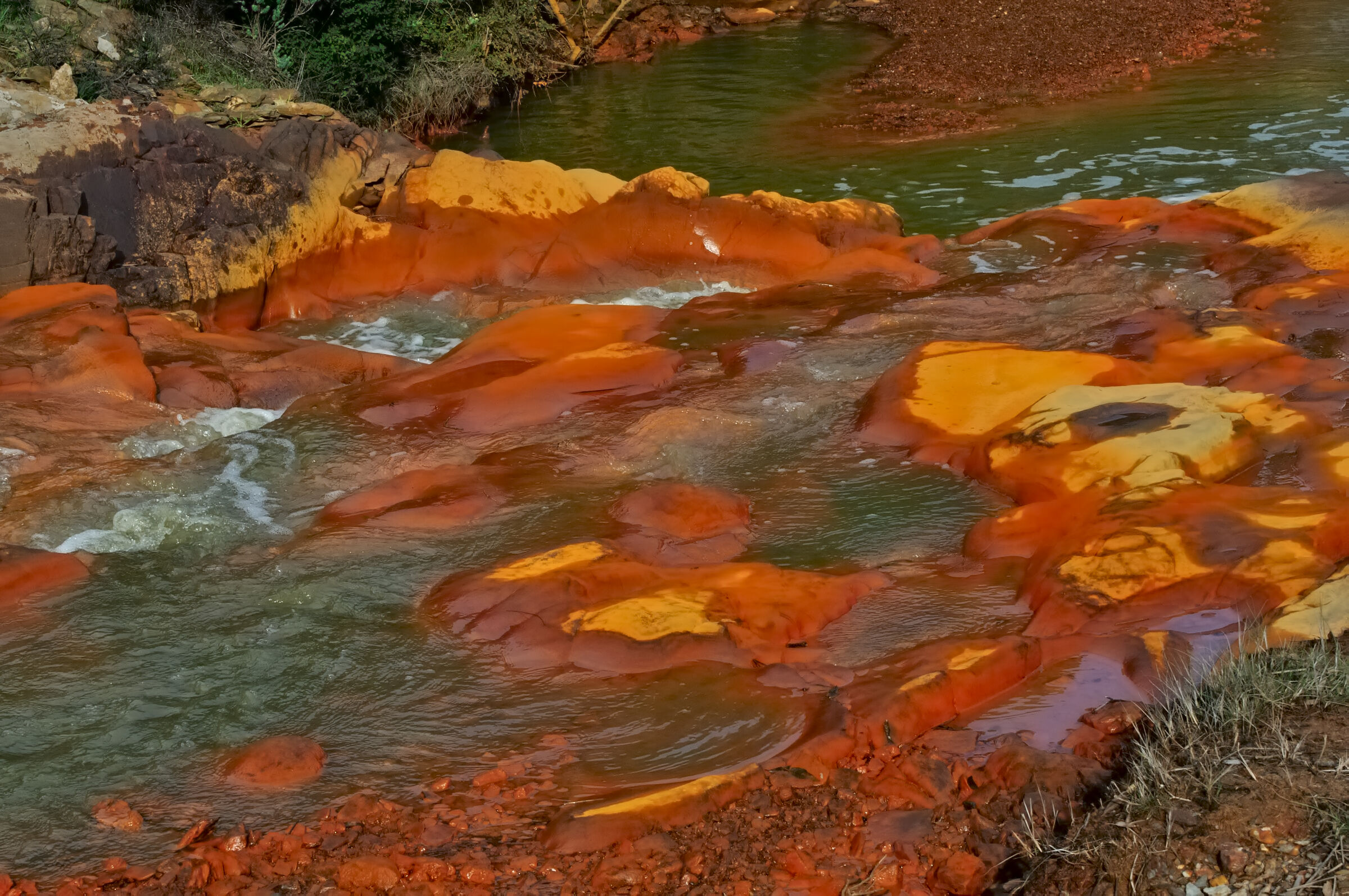The Red River