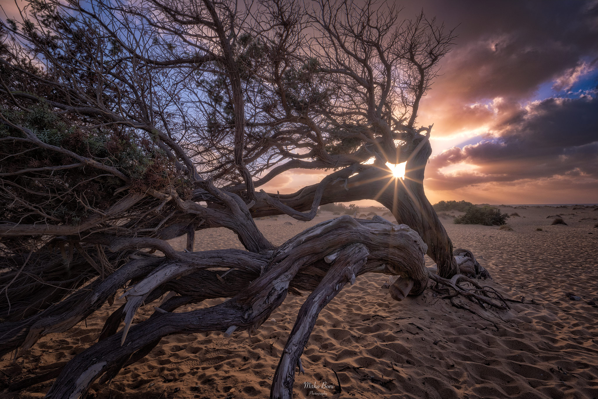 Sheltered from the wind
