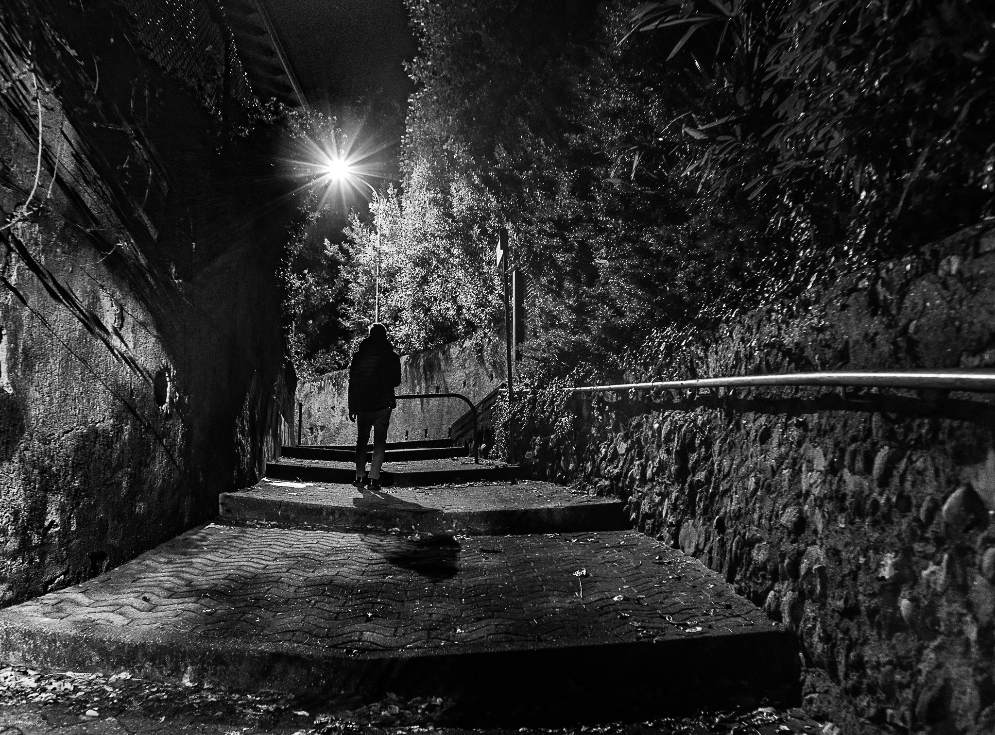 lonely walker at night (b&w)