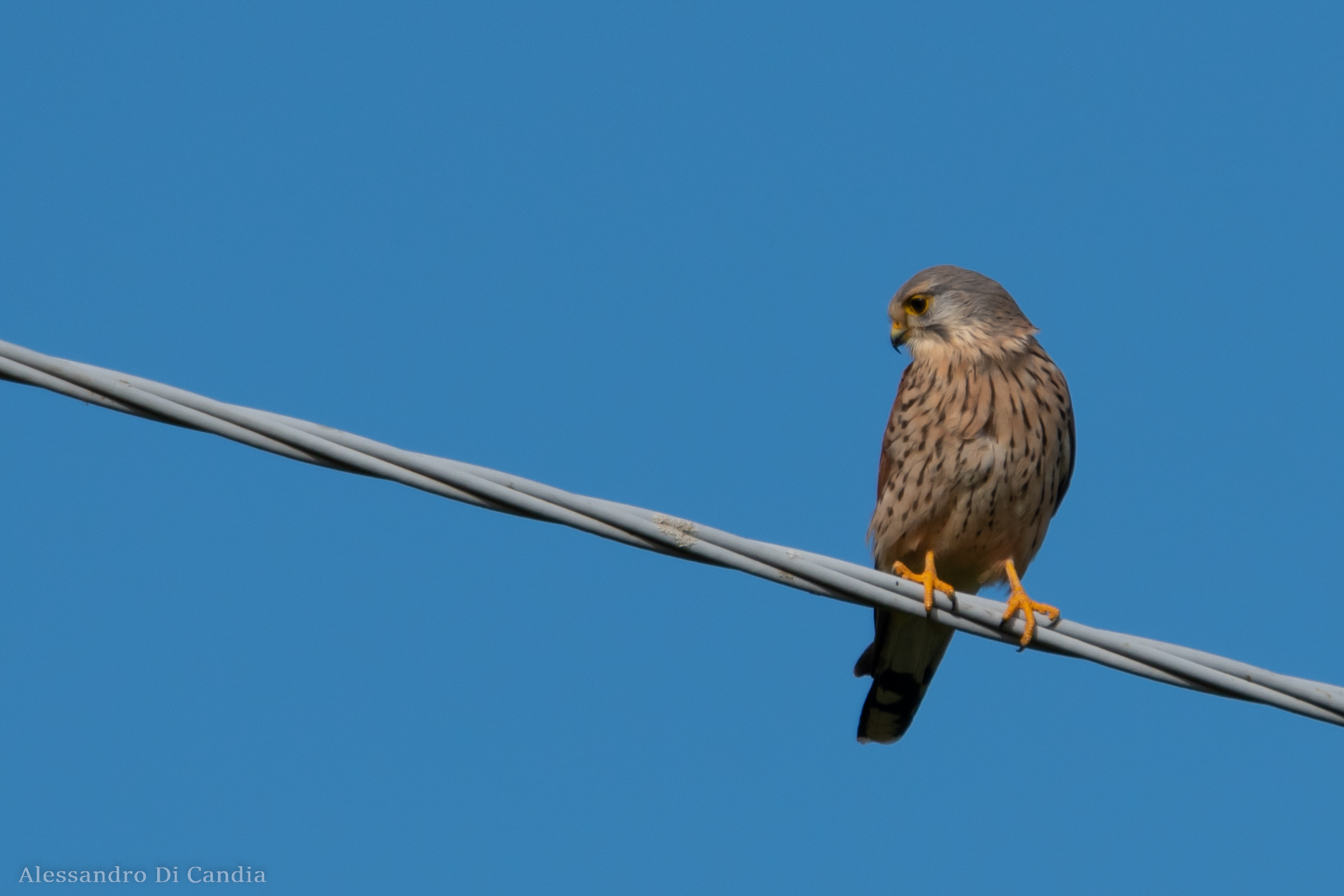Tutto sotto controllo