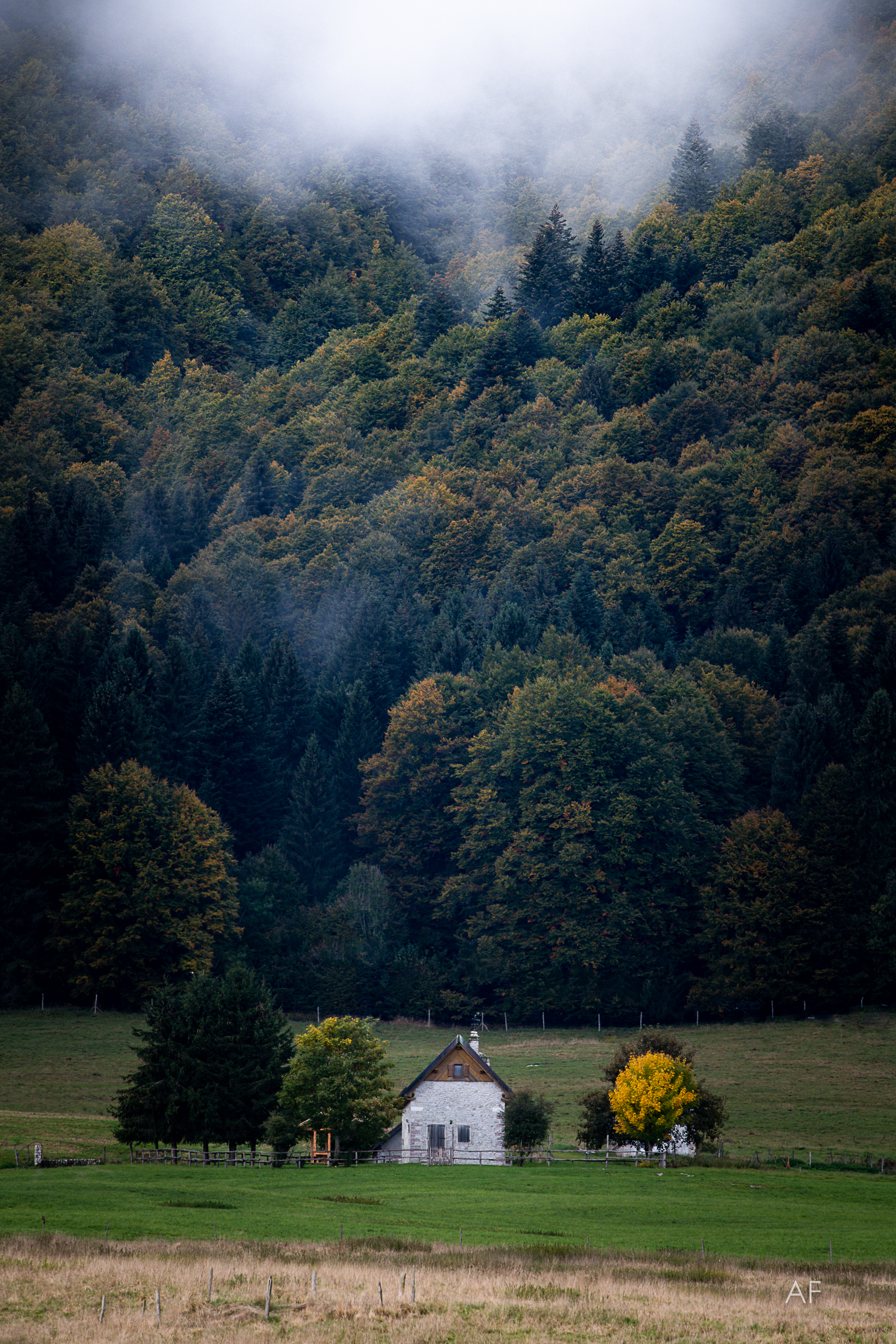 Primi colori d'autunno