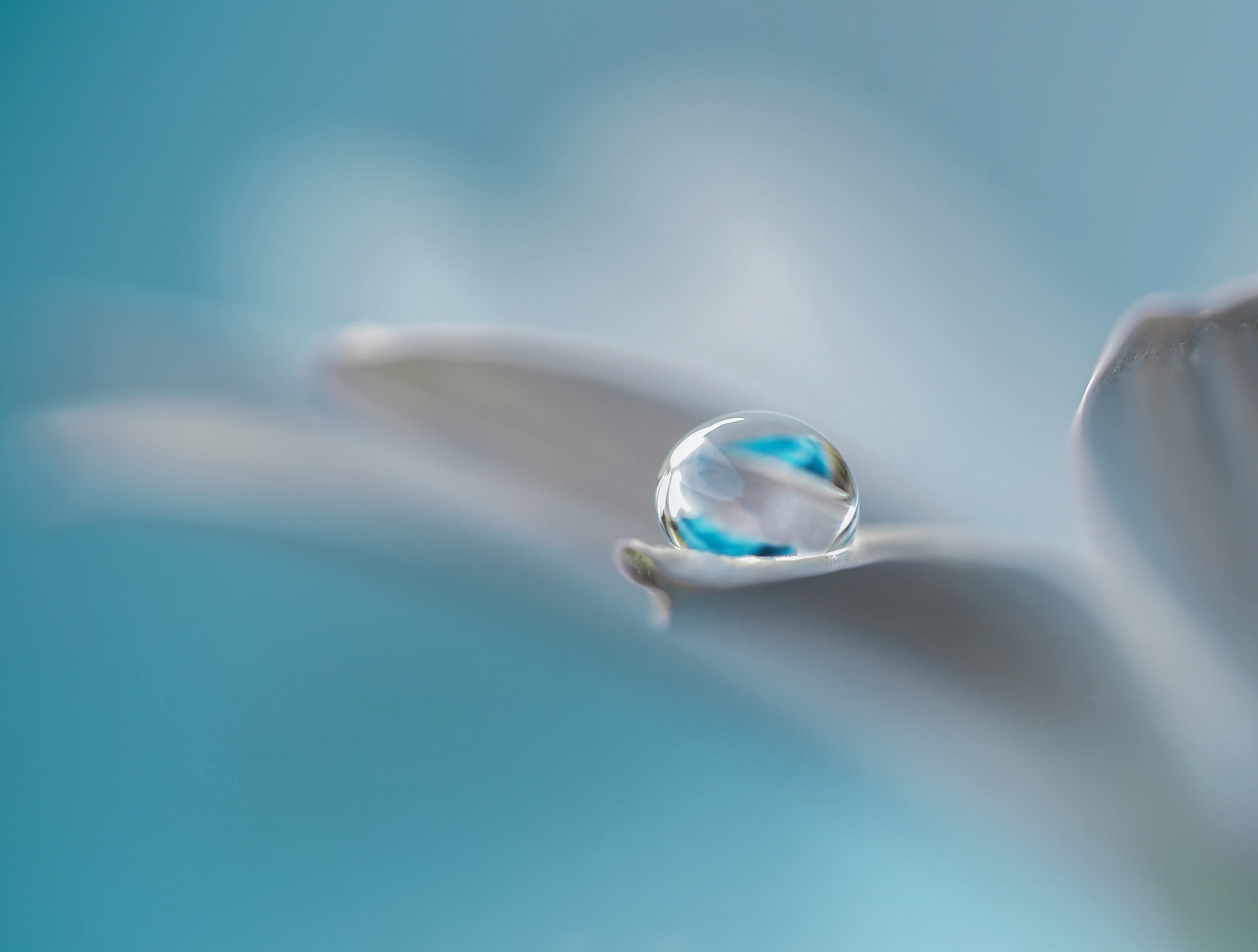 Solo una goccia di te,  e io sono nell'oceano.