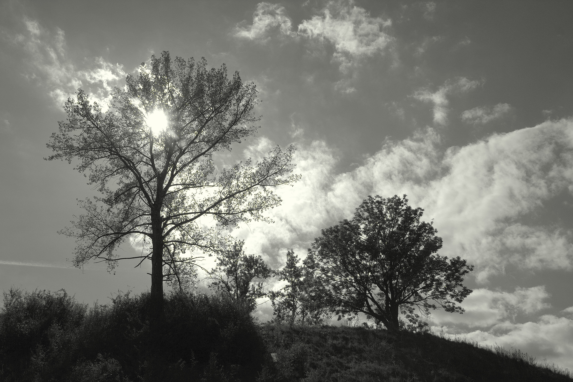 Untitled Photo