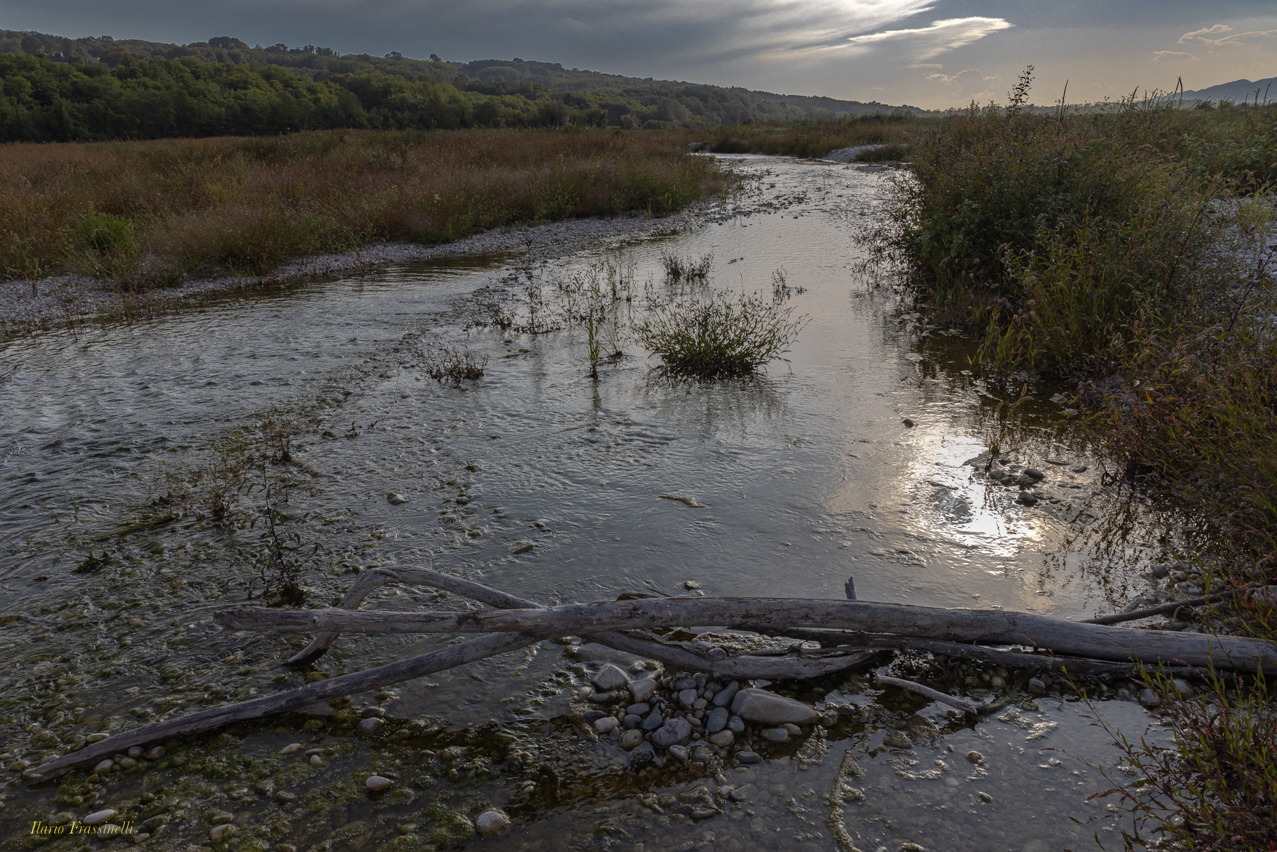 Il fiume Piave in secca