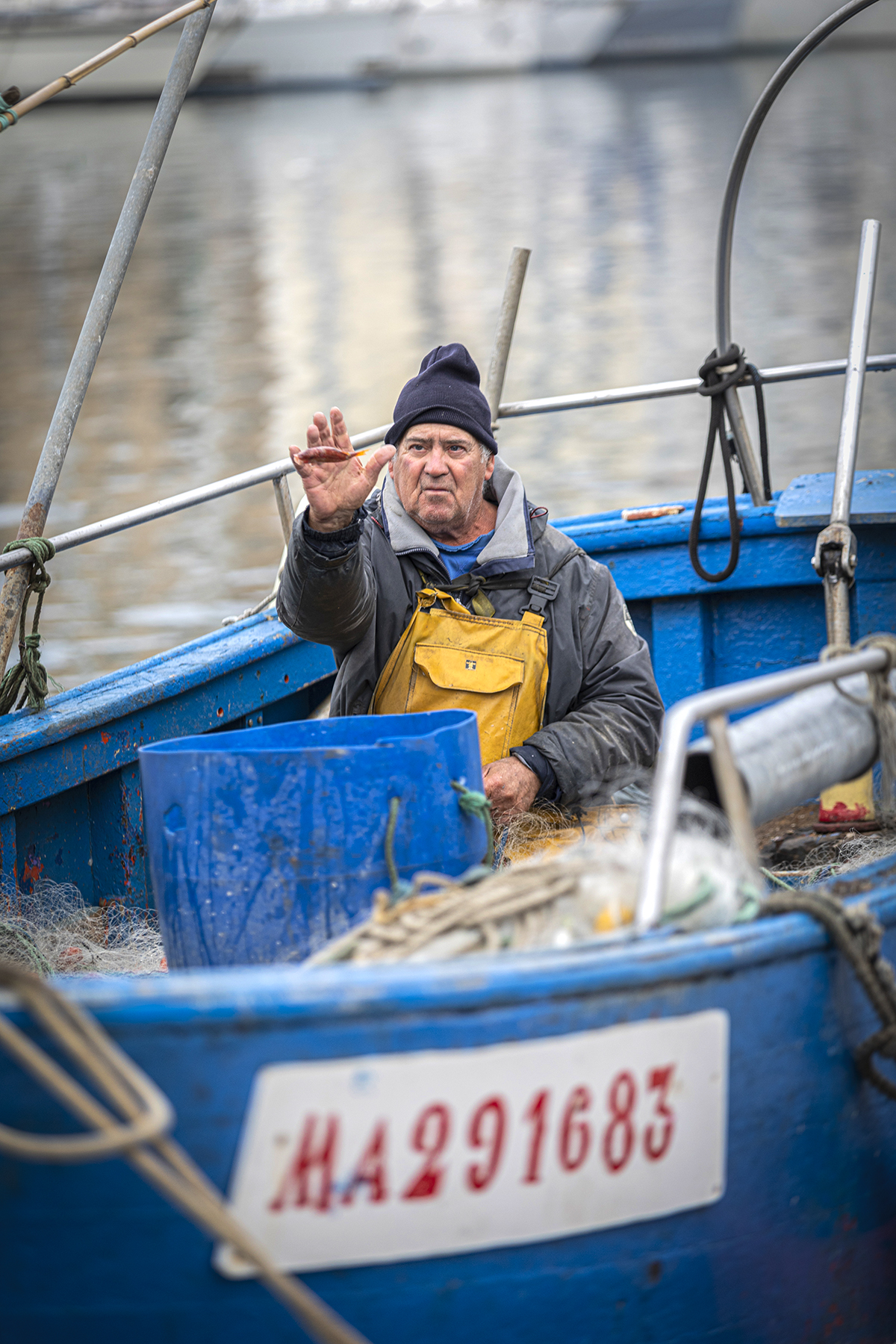 basketfish