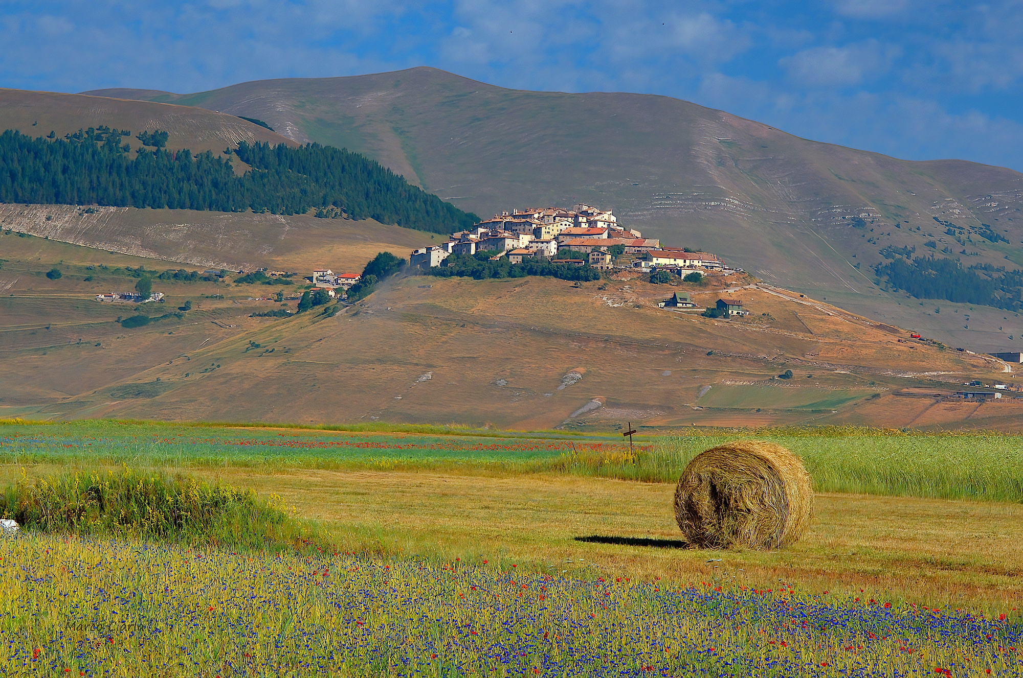 Castelluccio di Norcia