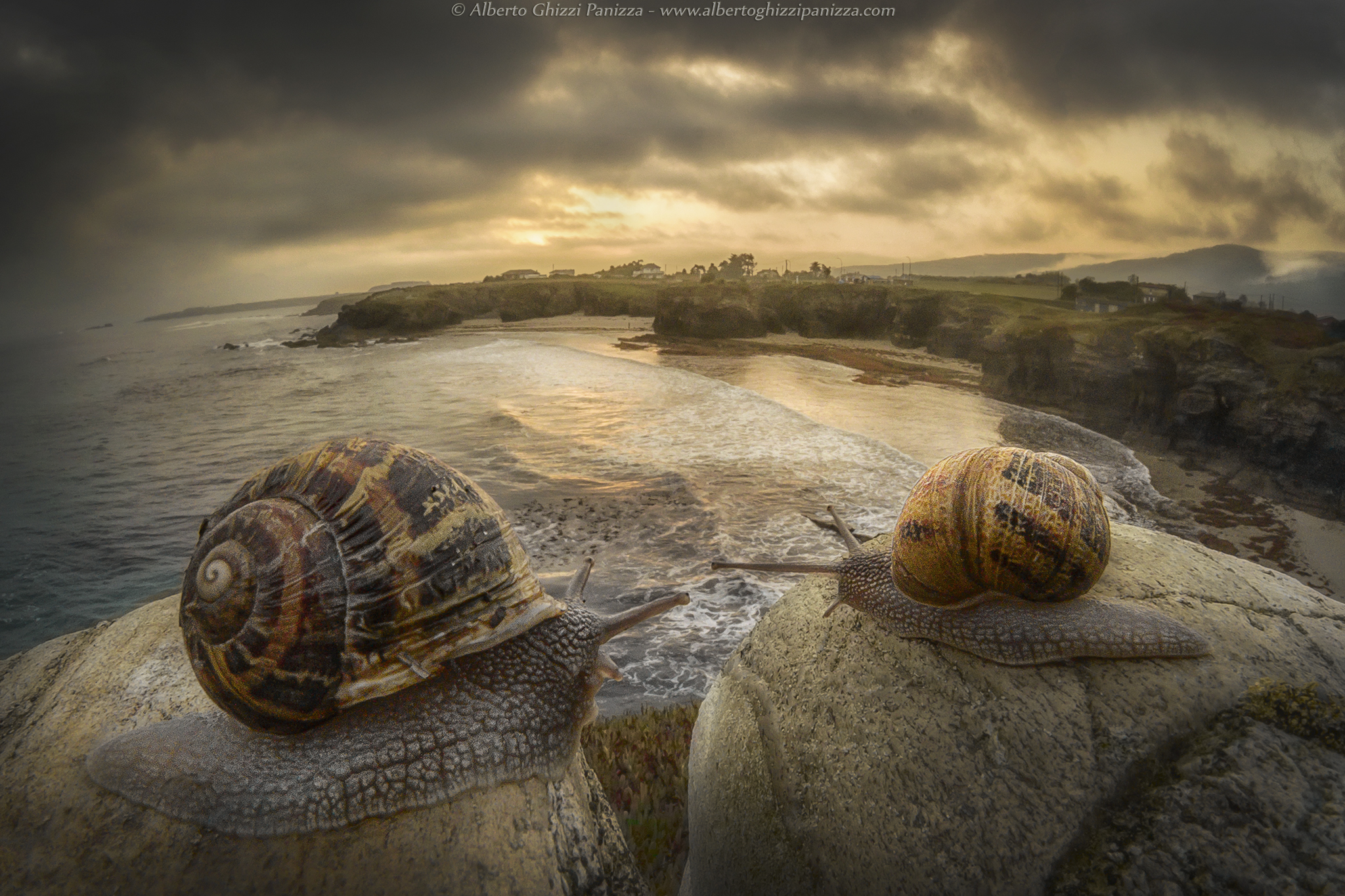 Admiring the sunrise