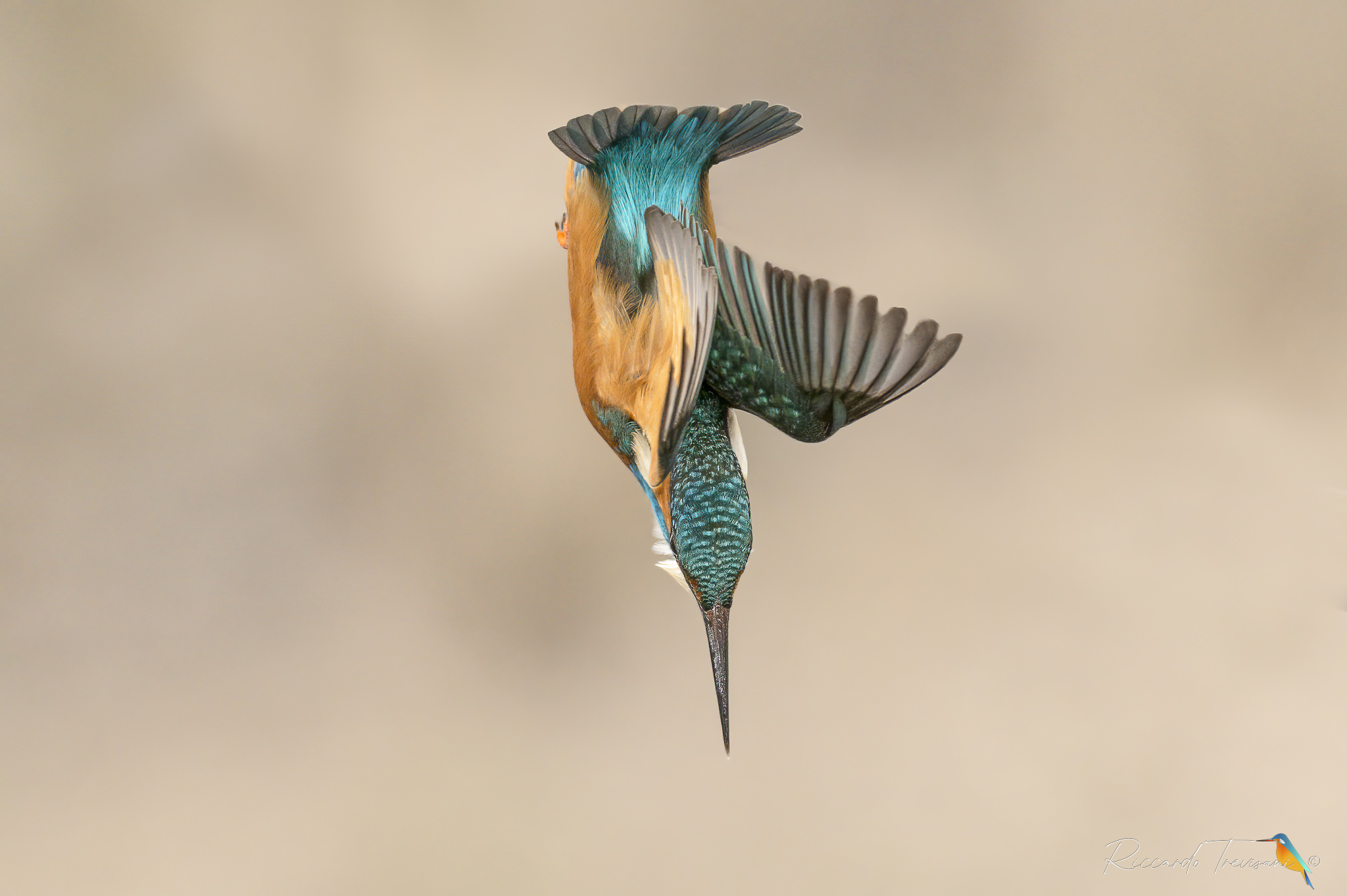 tonight I throw myself