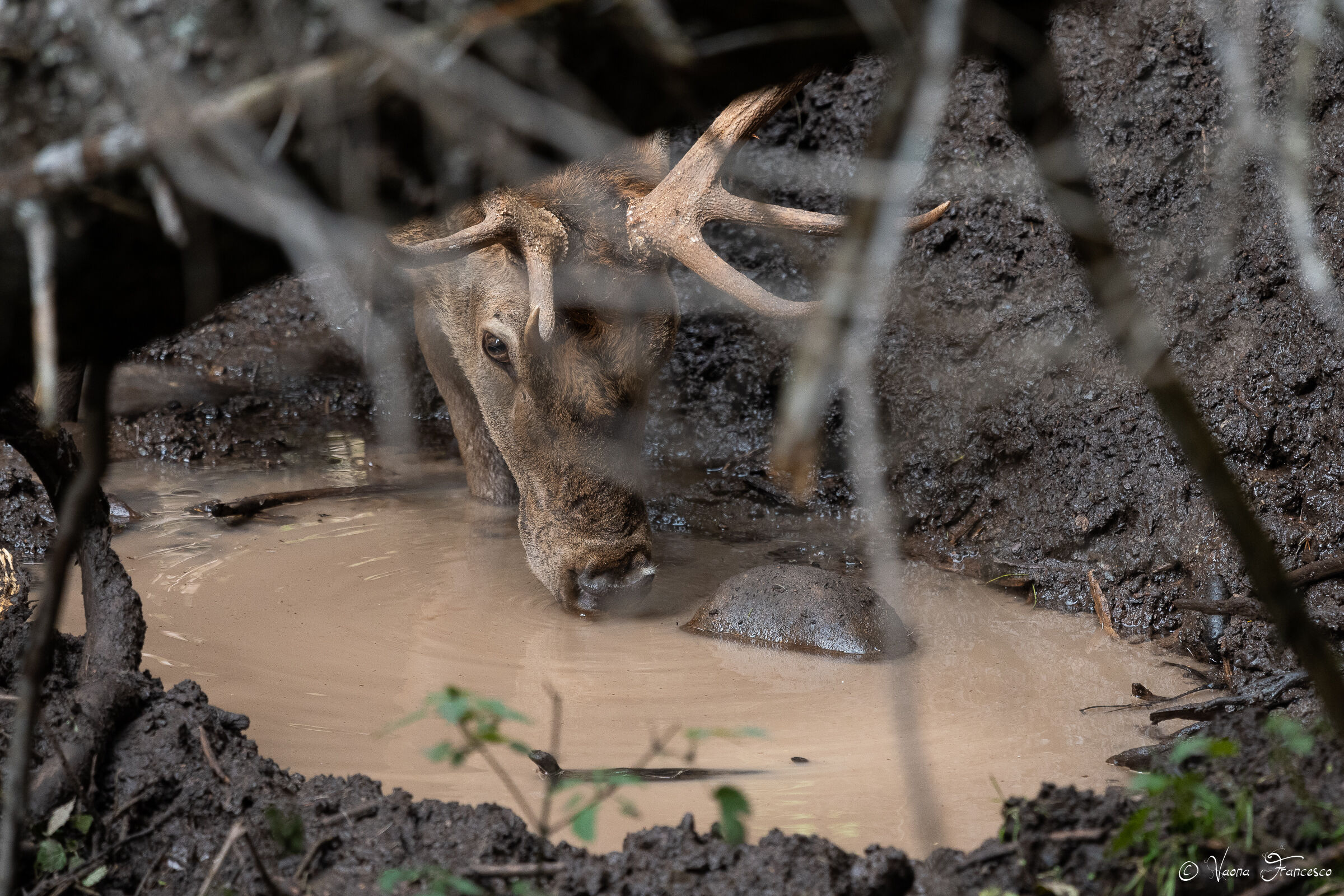 By dint of craving...