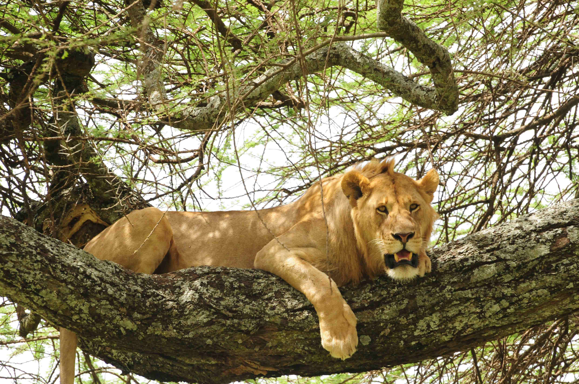 Tanzania