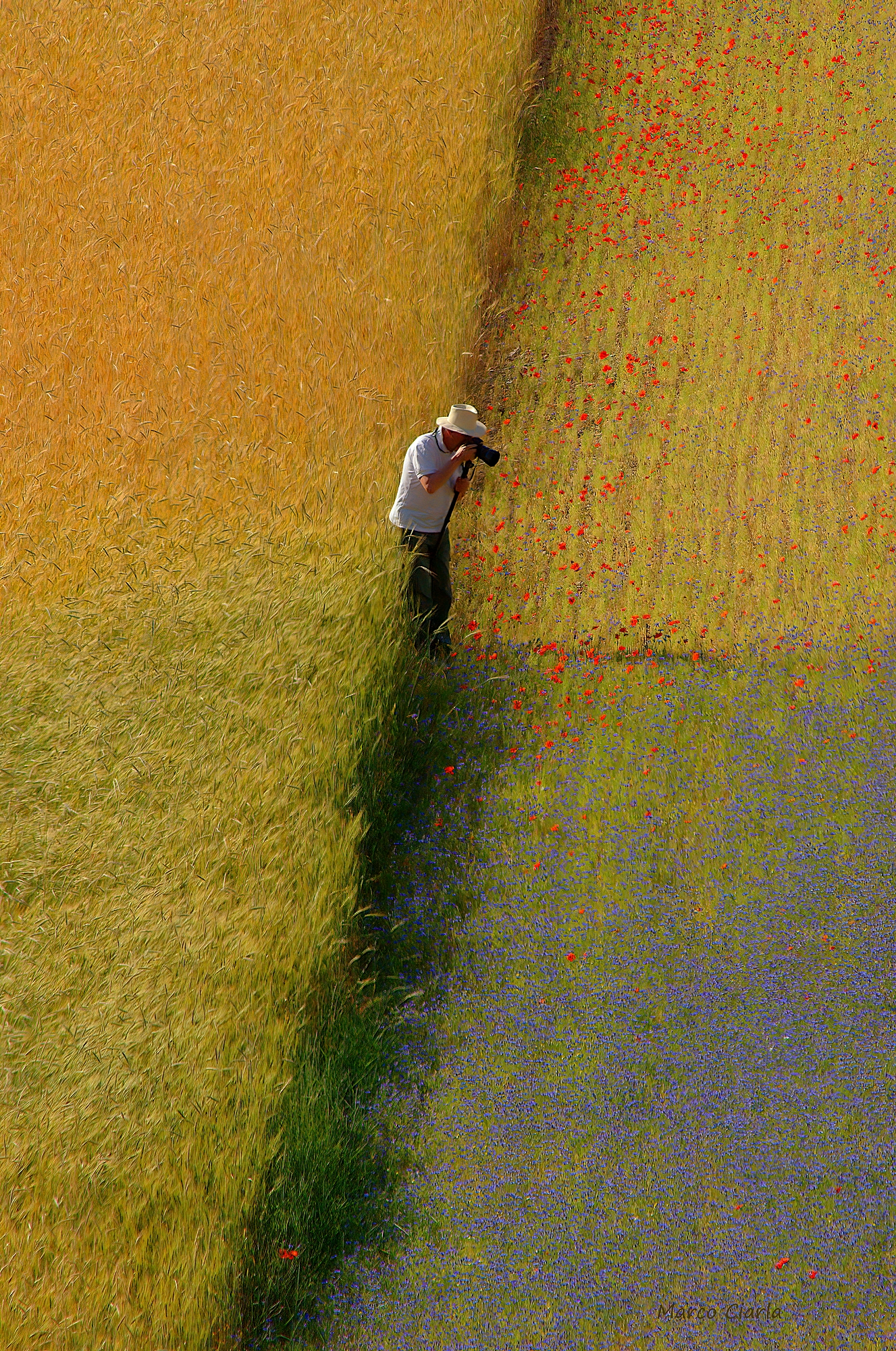 Photographing colors