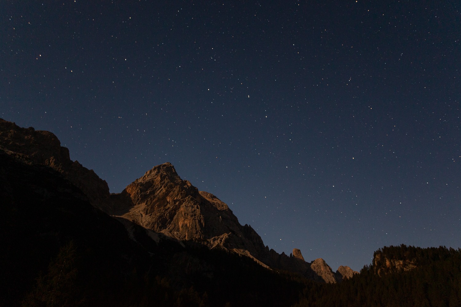 civetta baciato dalla luna