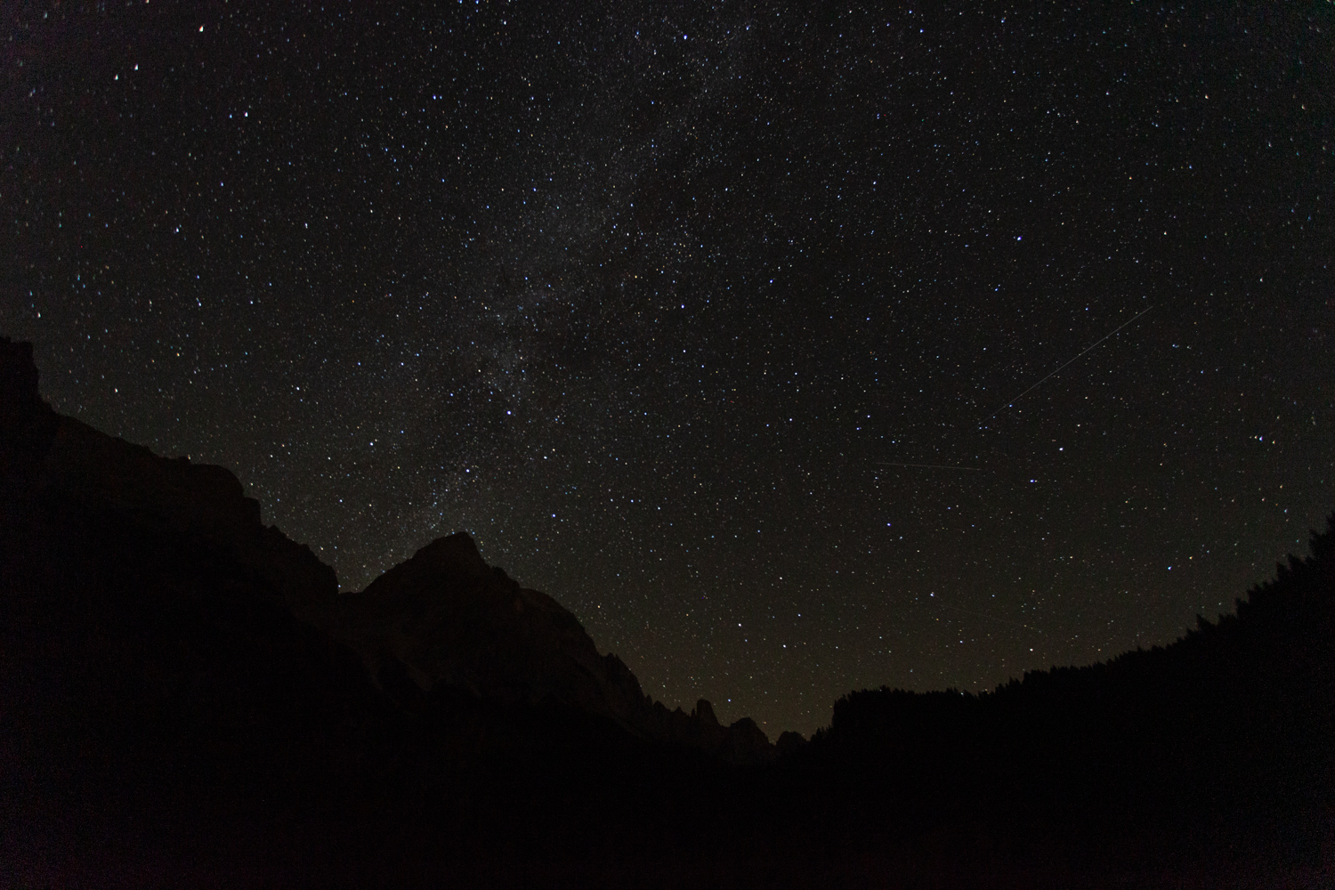 civetta sotto le stelle