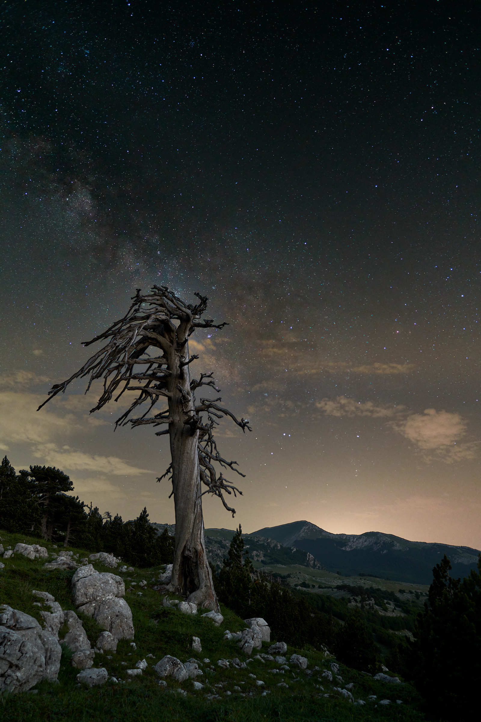 Parco Nazionale del Pollino