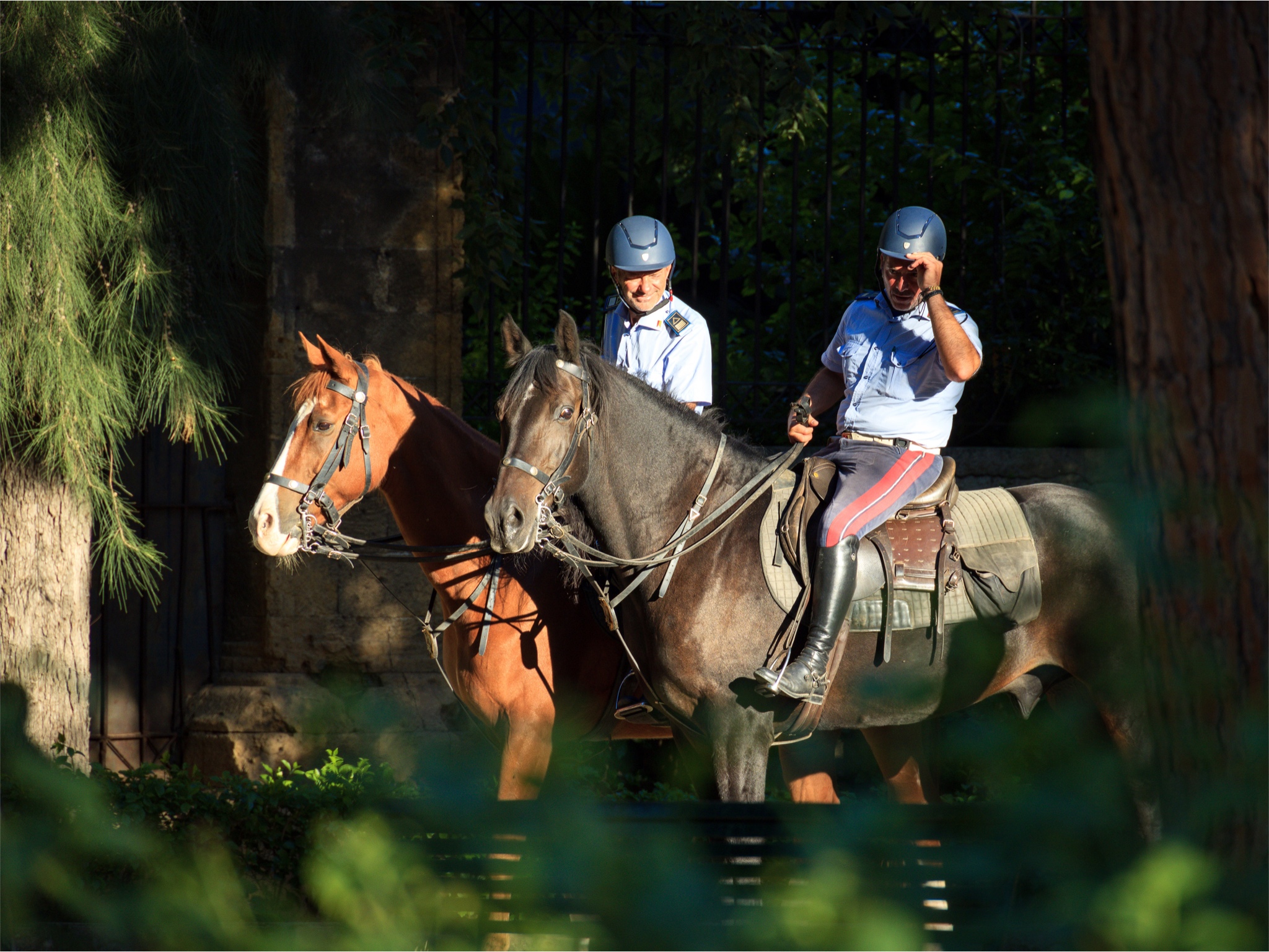 PL on Horseback