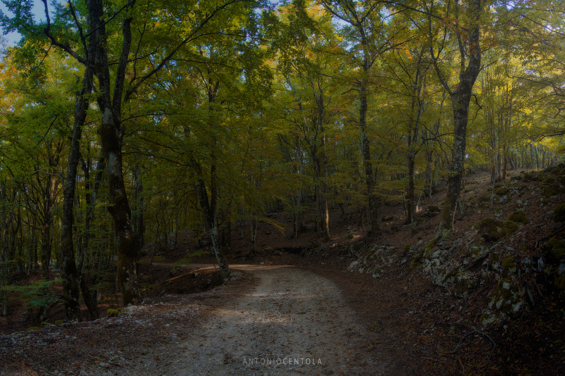L'autunno alle porte