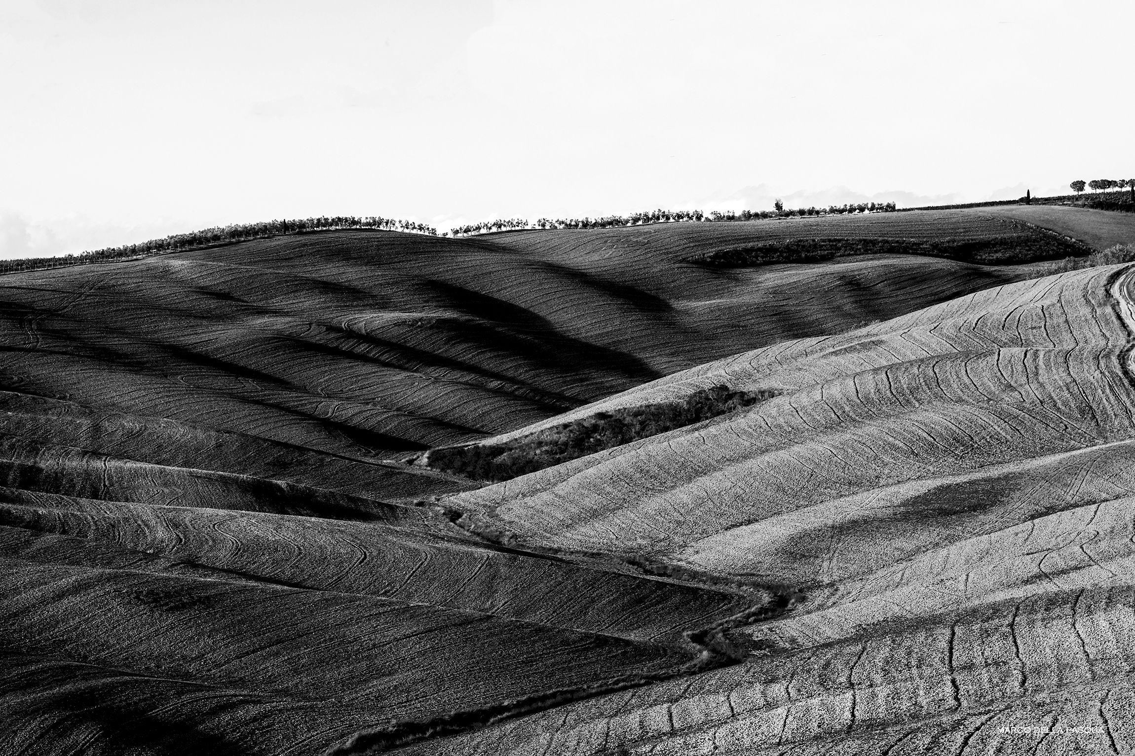 The Crete Senesi 4