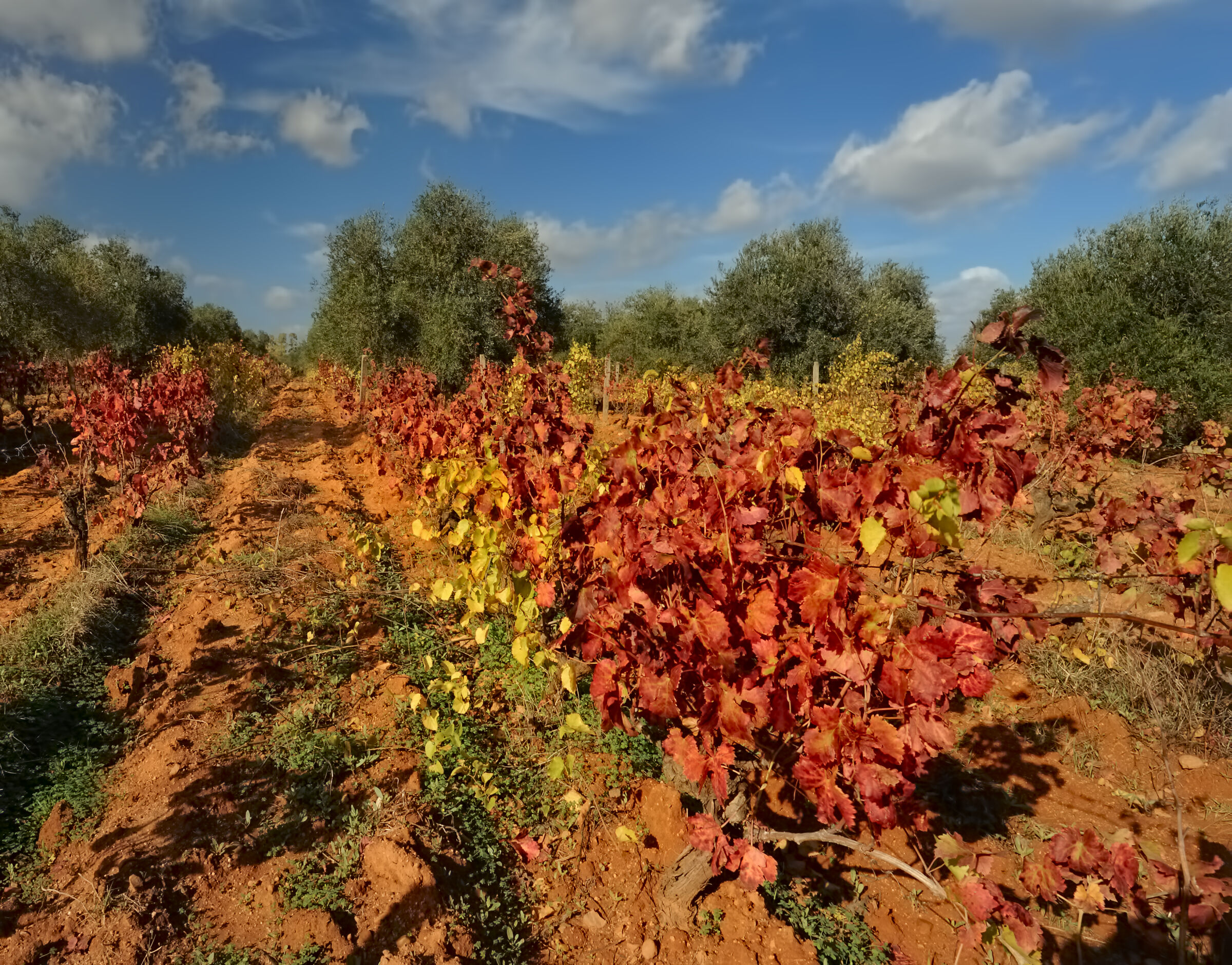 The colors of autumn