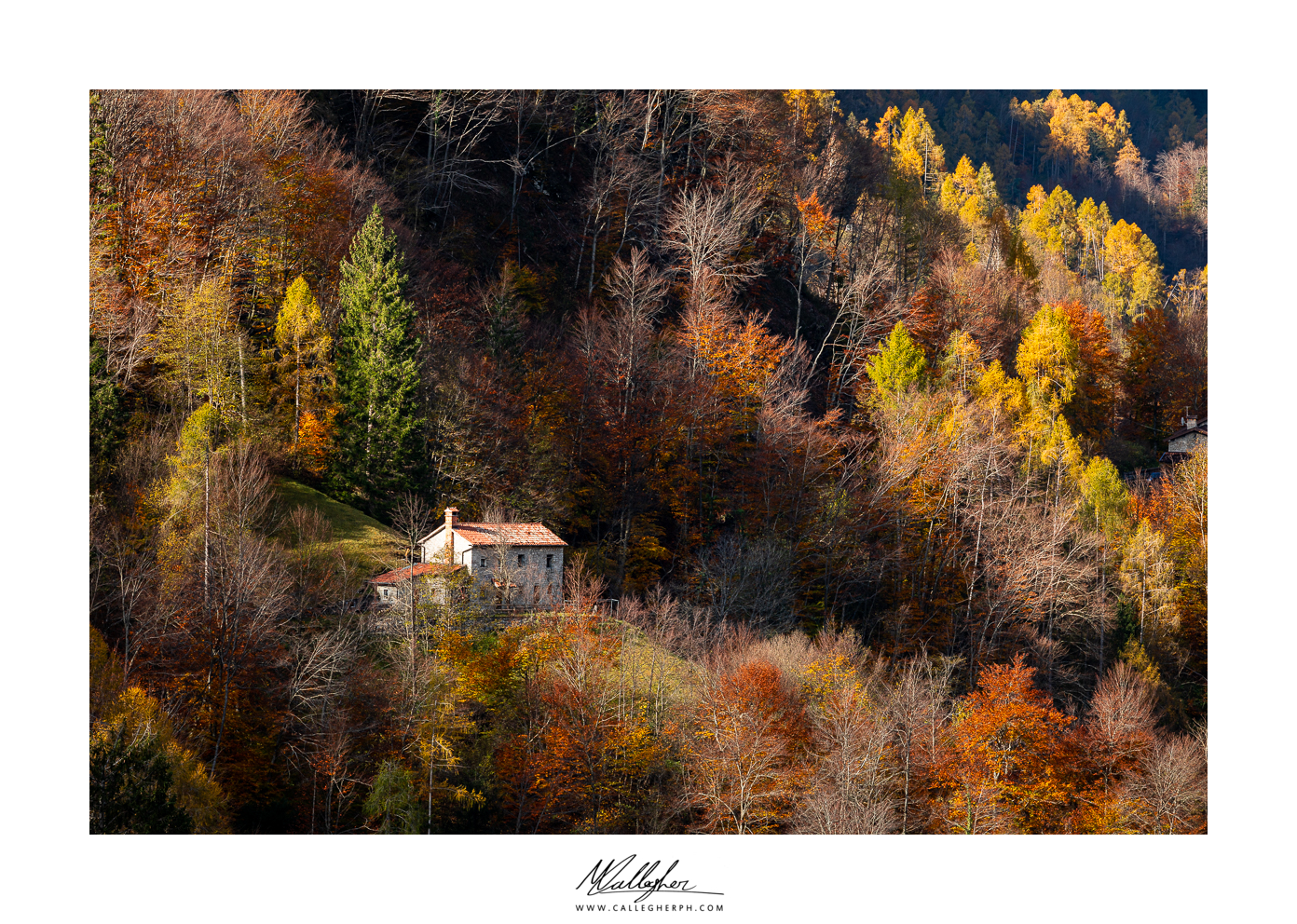 Autumn palette